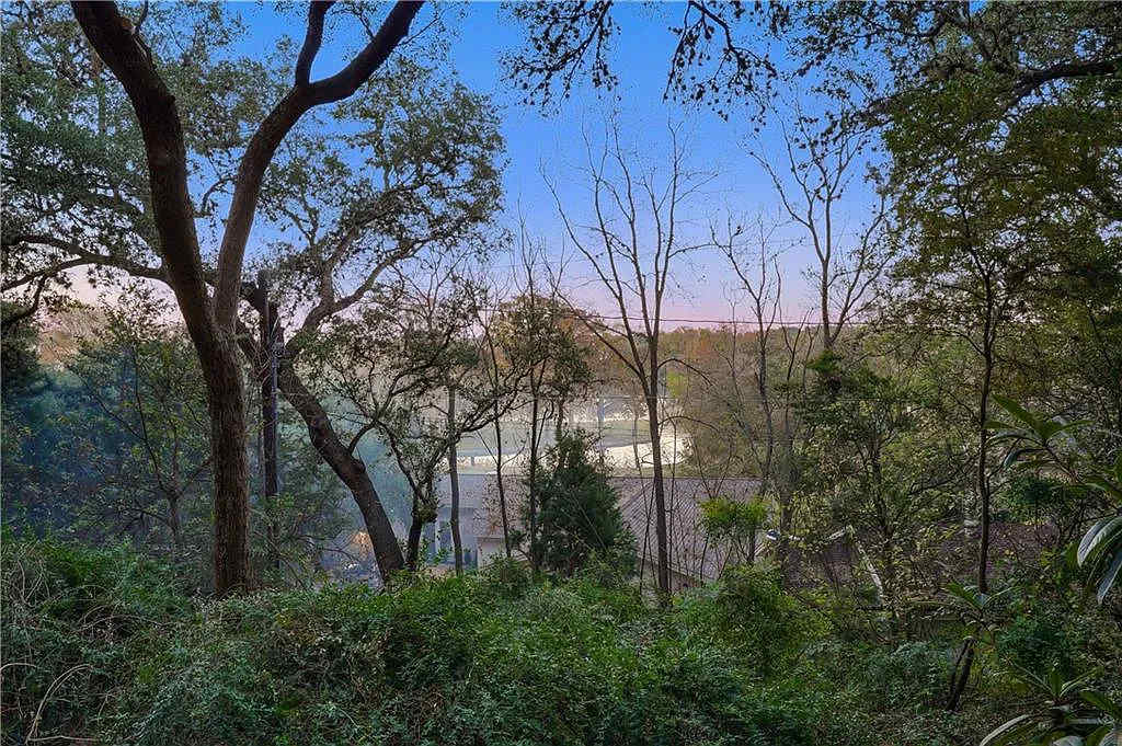 Lake, Large Deck & Firepit | Lake Austin Treehouse