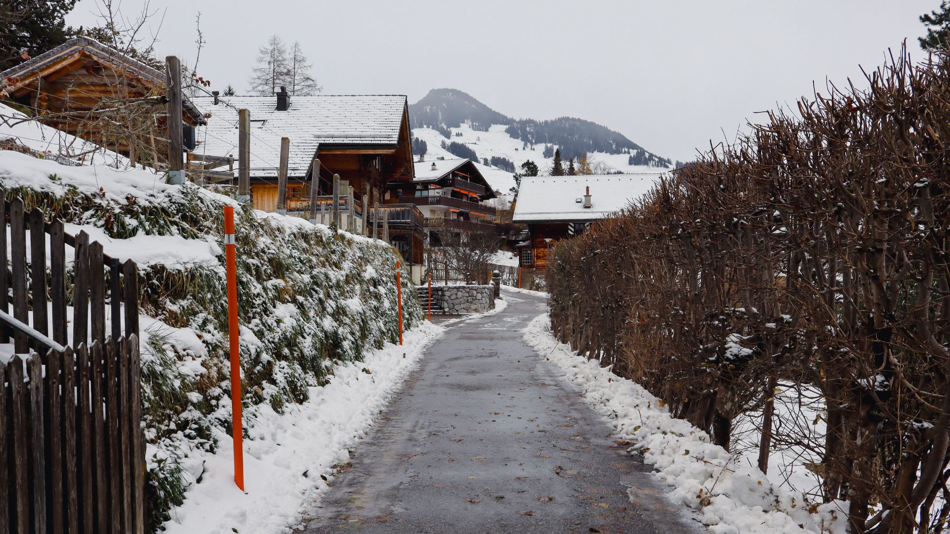 GST015 Stefan Jerger