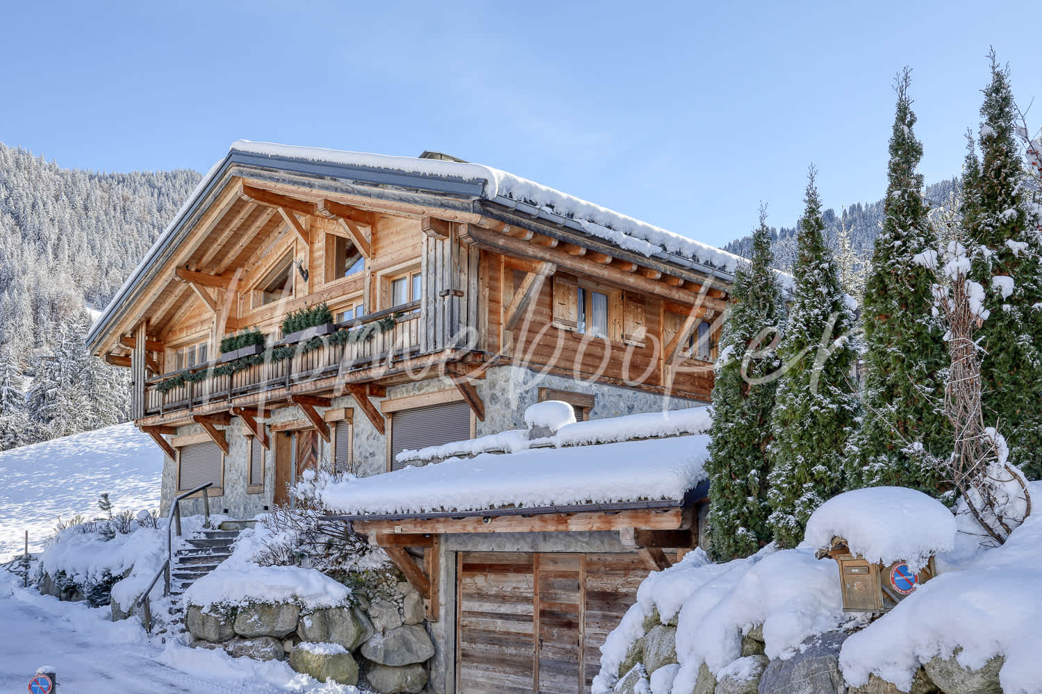 location Chalet Boreal Praz-sur-Arly photo- 3