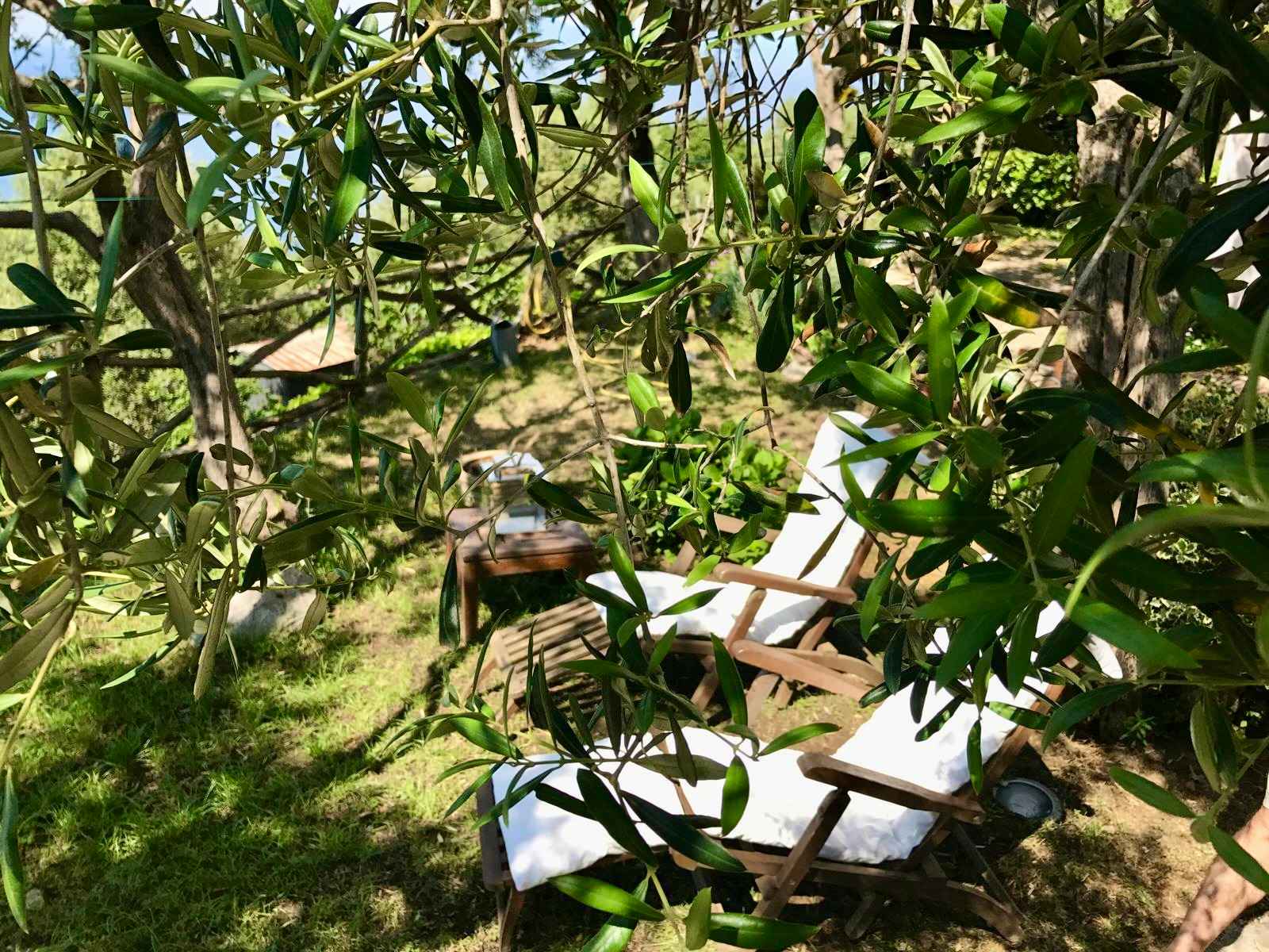 Sogno di Capri - Image 33