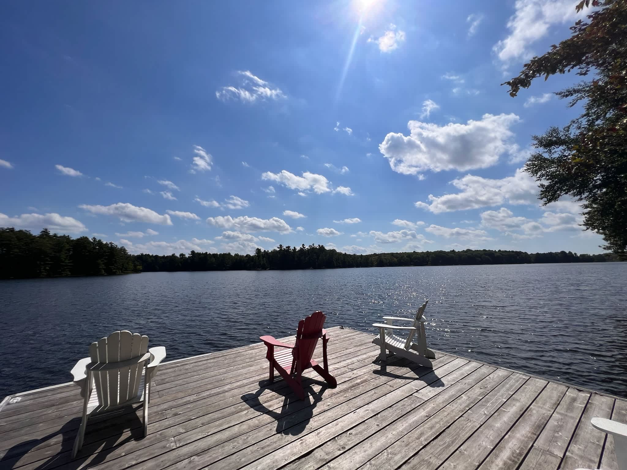 Cottage #257