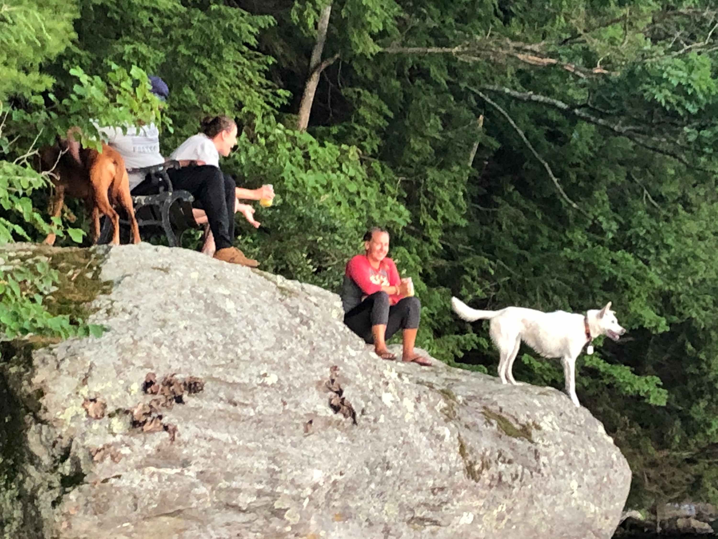 Doggie play date on Sunset Rock.