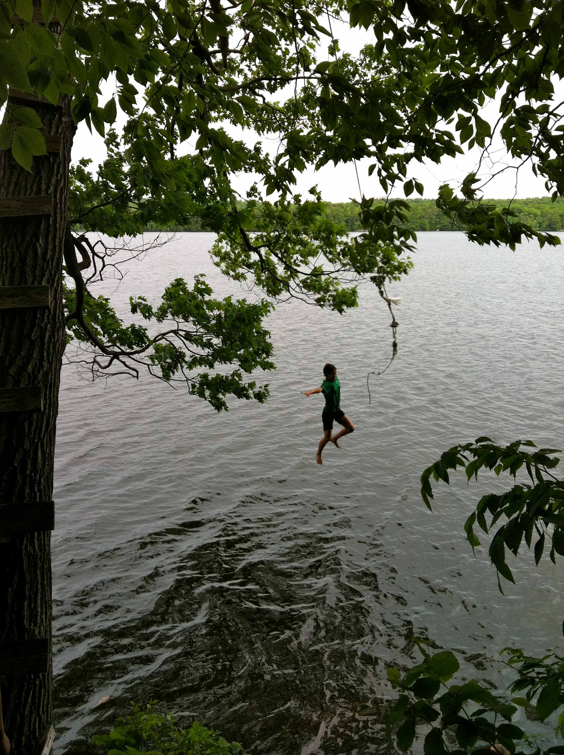 Yeehaw on the rope swing.