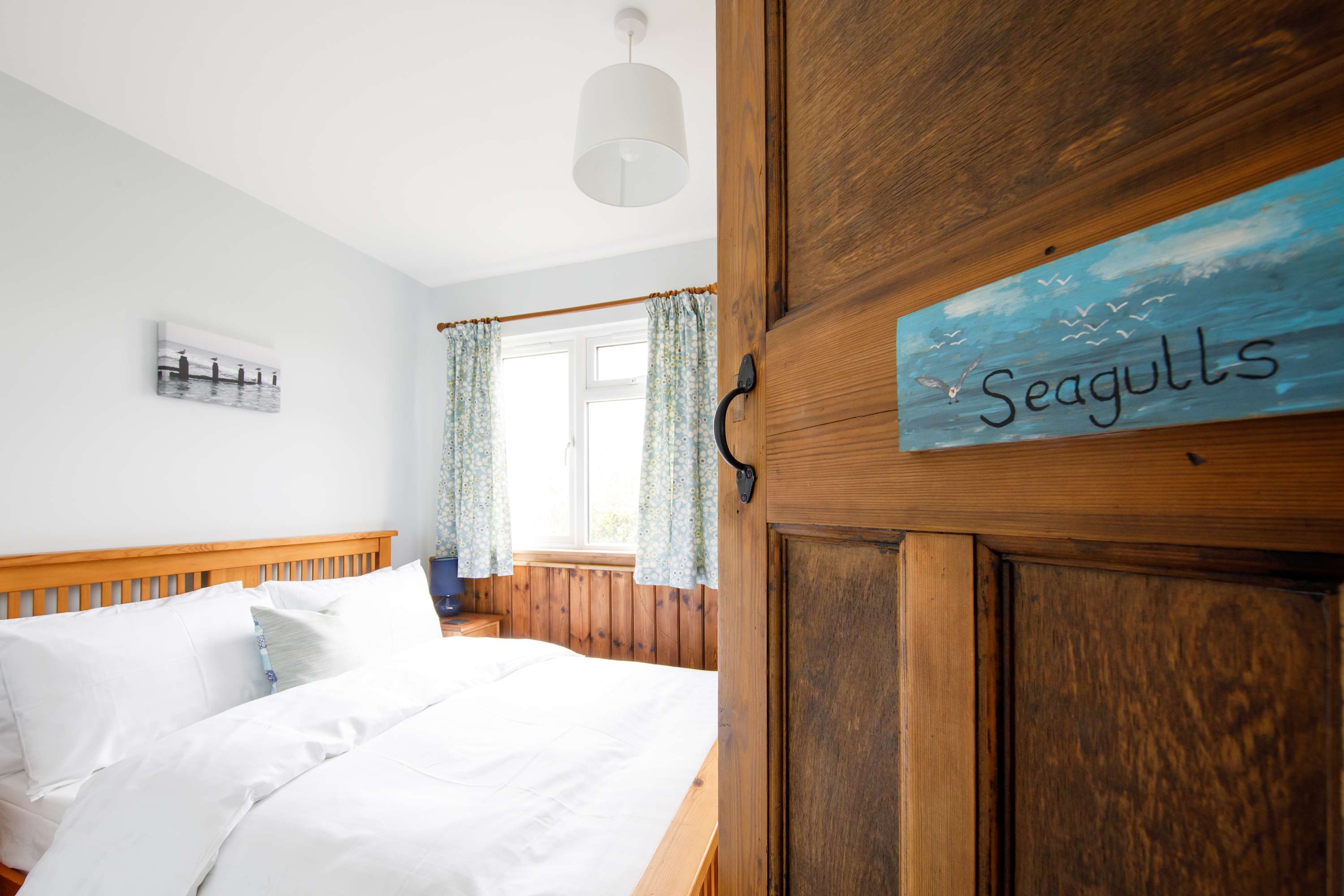 Let the seagulls visit you in your dreams