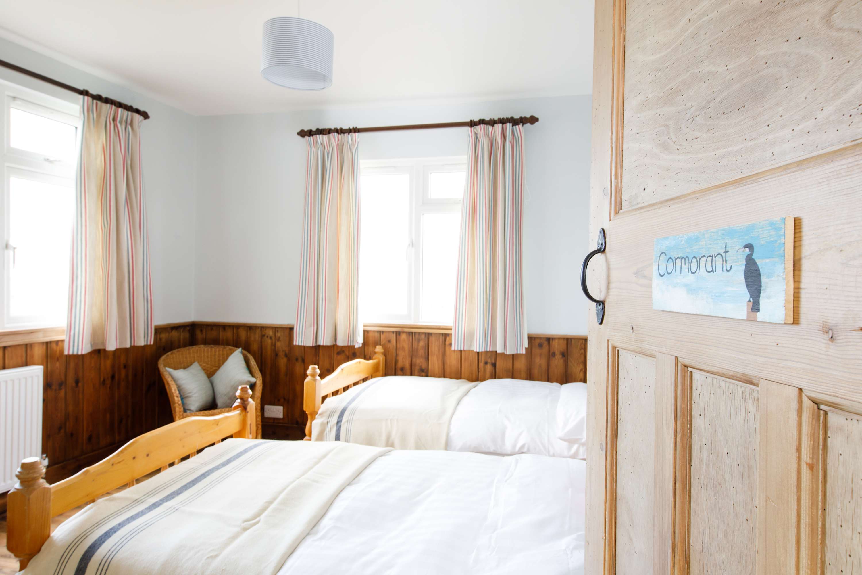 Have you seen any cormorants during your visit to the beach?