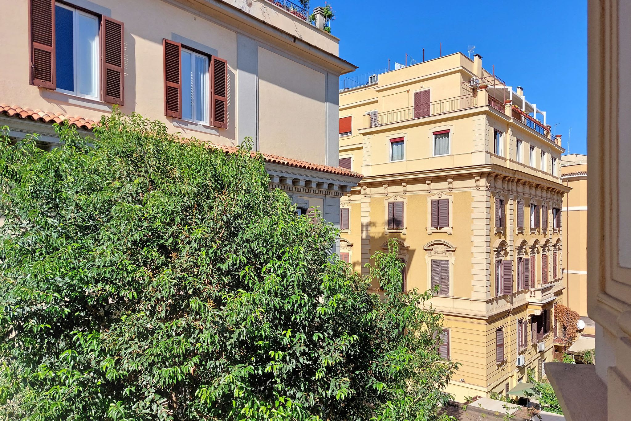 L'Orchidea - Image 16