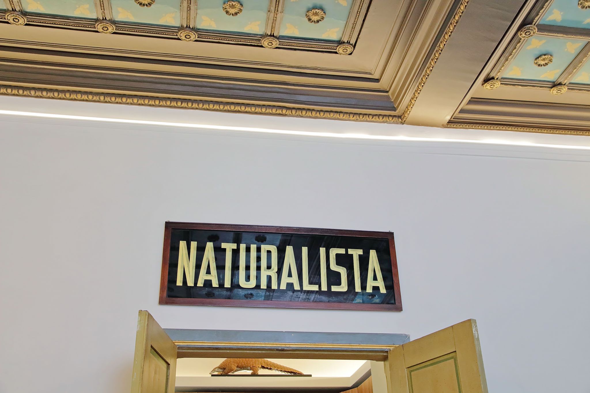 L'Orchidea - Image 66