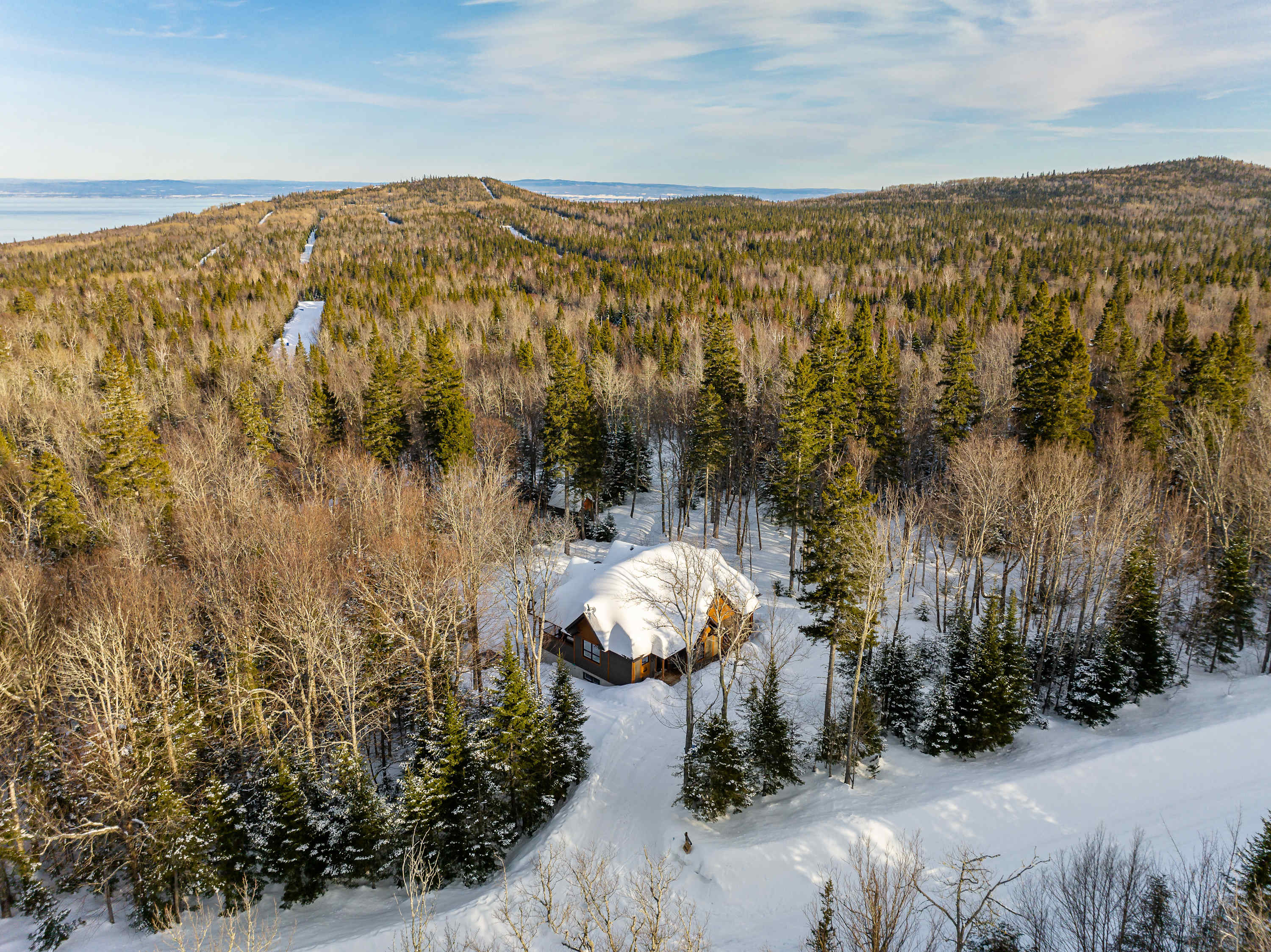 L'ours de Charlevoix | Escapade en forêt avec spa - Foto 1