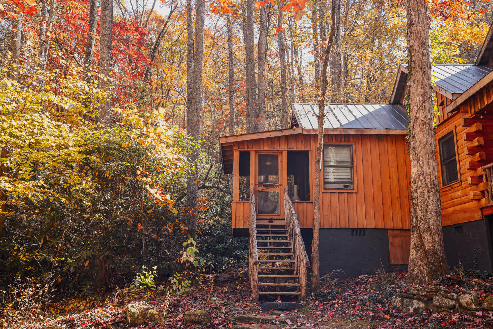 Birds Nest cabin at Cabin Fever in NC