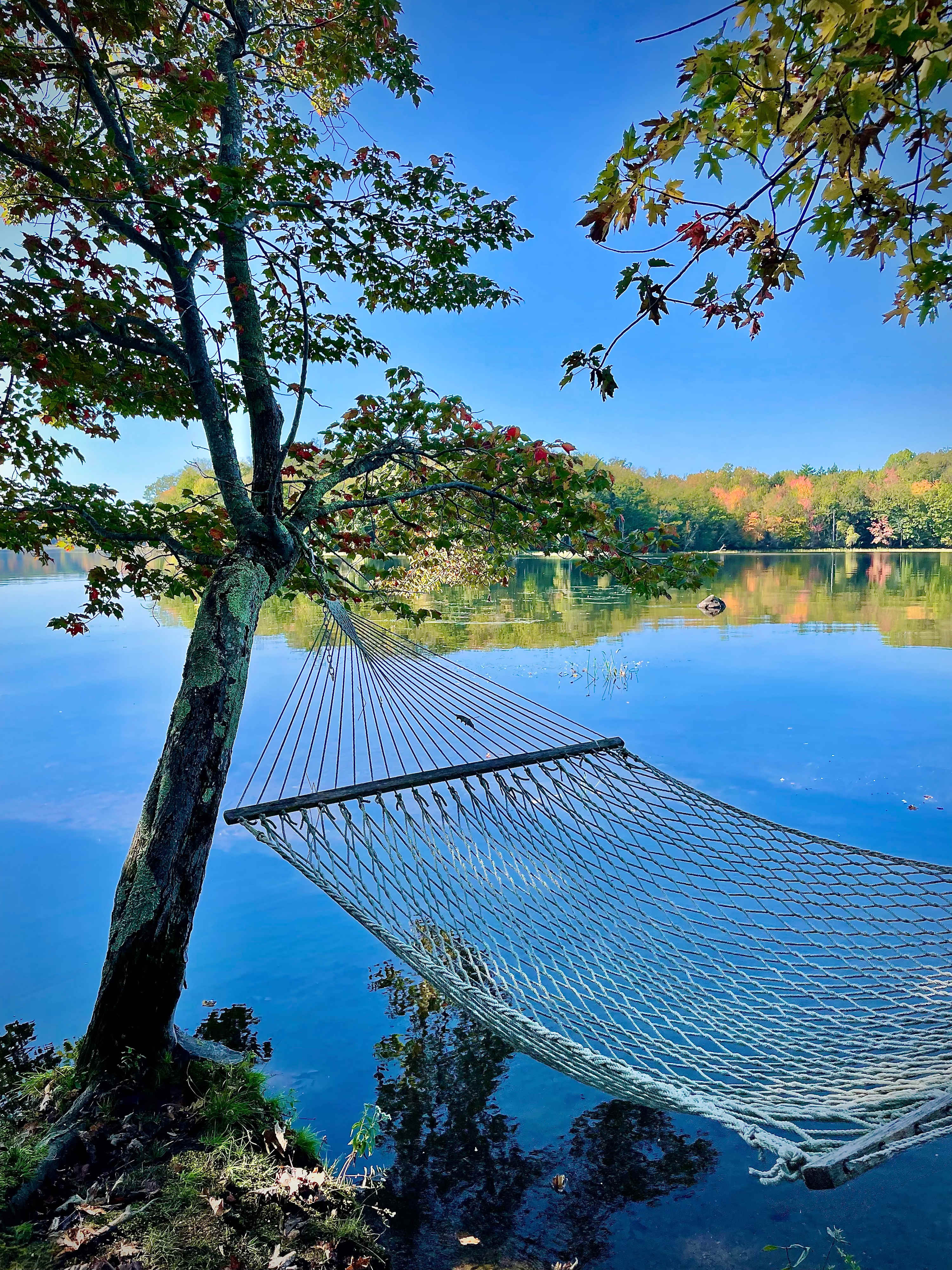 Bliss  at the water hammock on the sunset side of Naughty Dog Island.