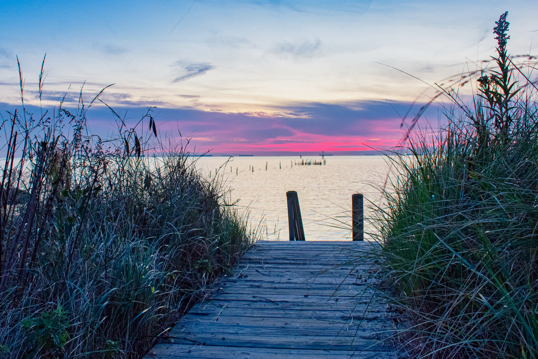 Waterfront, Chesapeake Bay | Littleton Tazewell