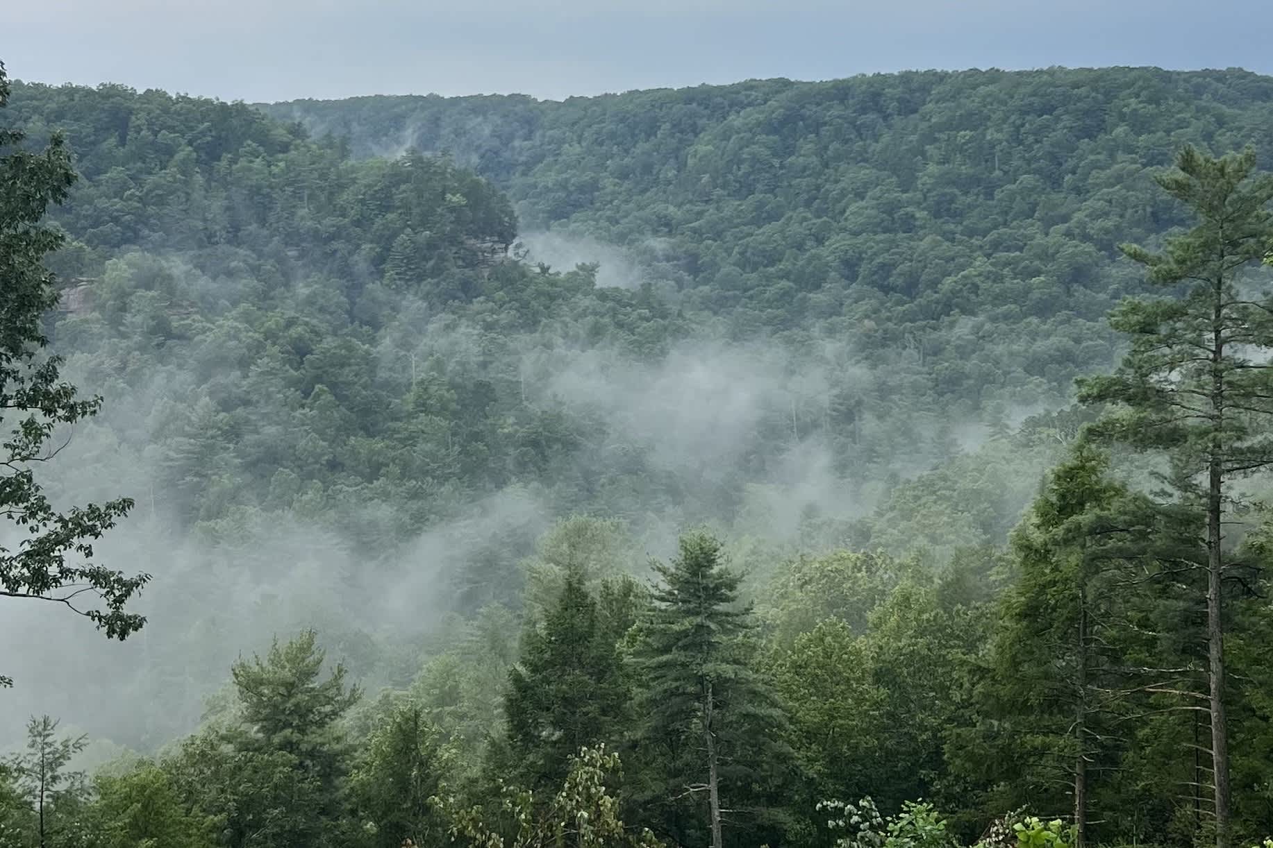 Honeydew Cabin - Romantic, Sauna, Views, Hot Tub — Rogers, KY — vacation rental