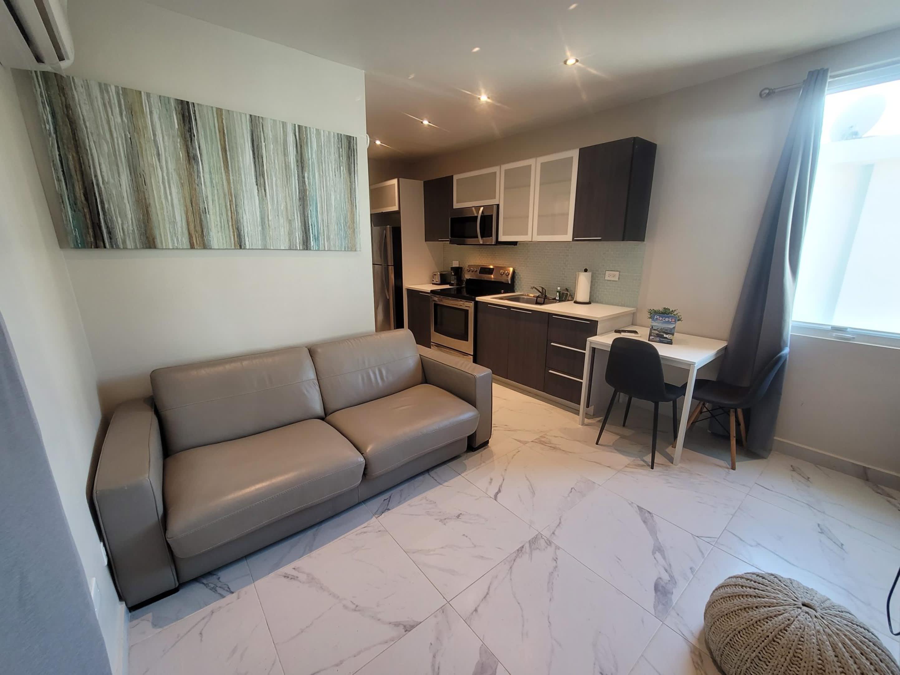 BEAR - 1BD Walking Distance to Condado Beach CV6 — San Juan, San Juan — vacation rental