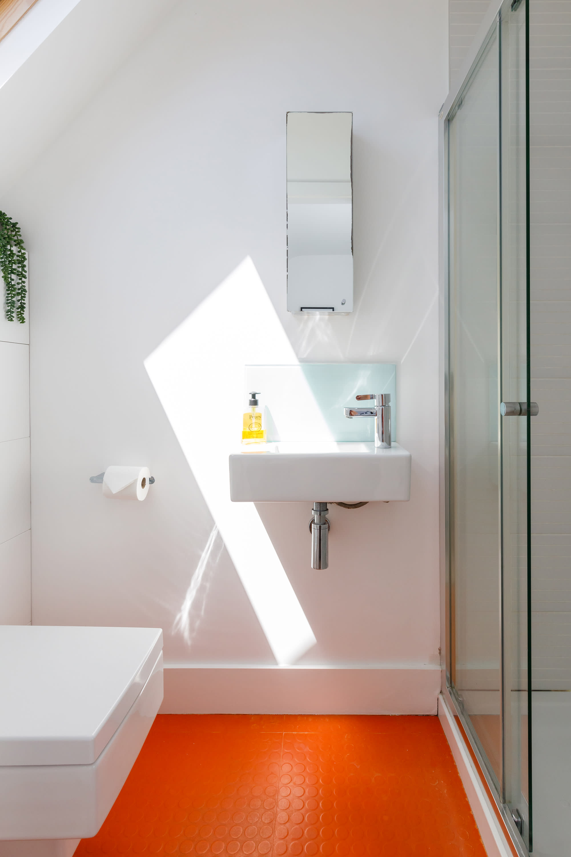 Sun shines on the colourful flooring