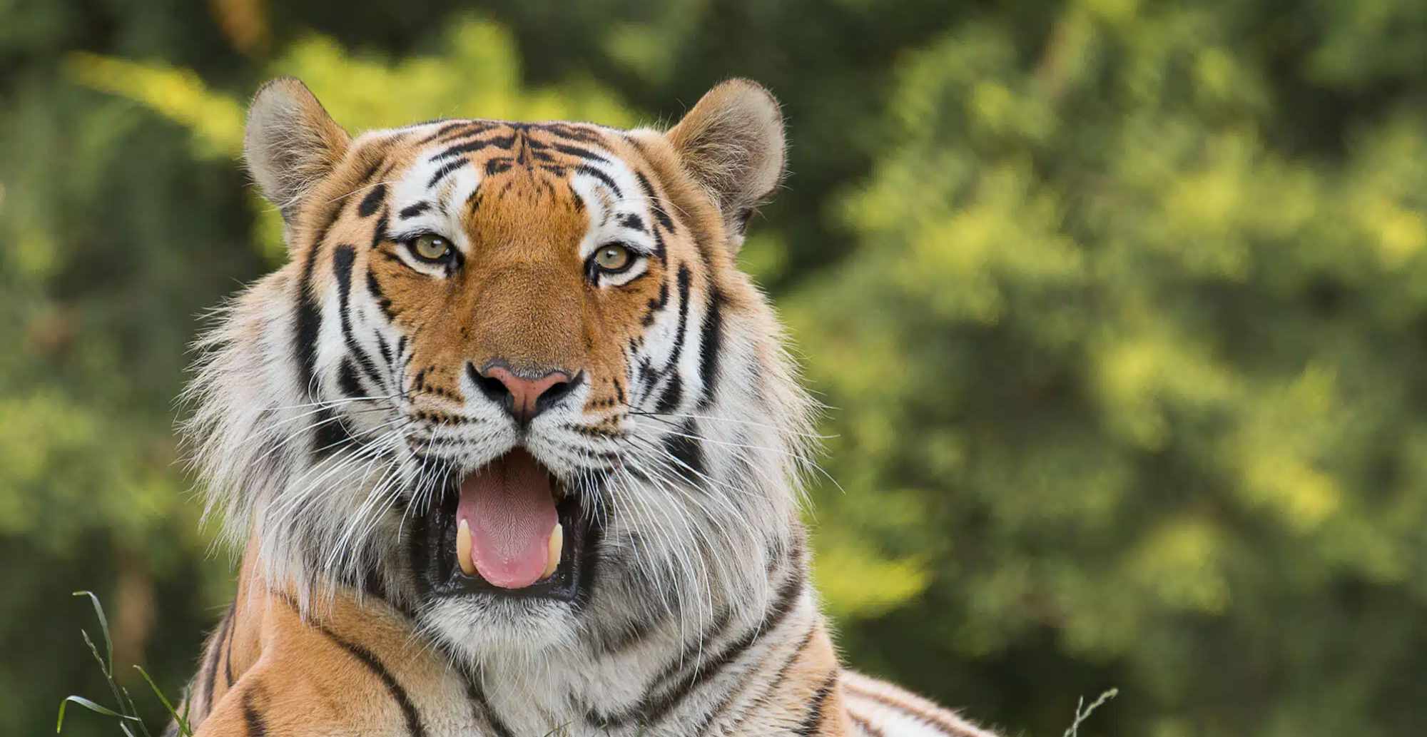 Marwell Zoo is only a 20 min drive away.