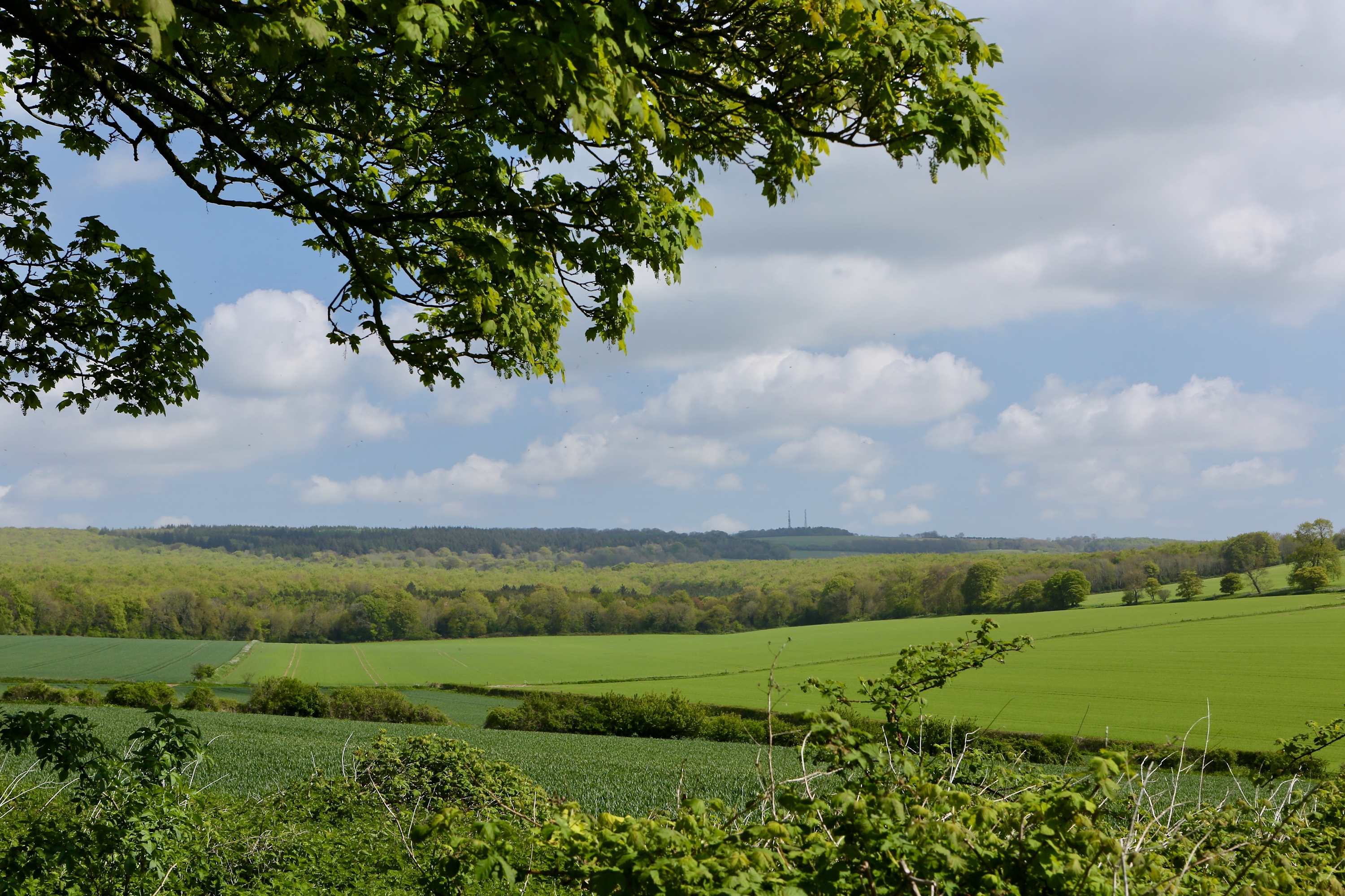 The view from the garden is stunning