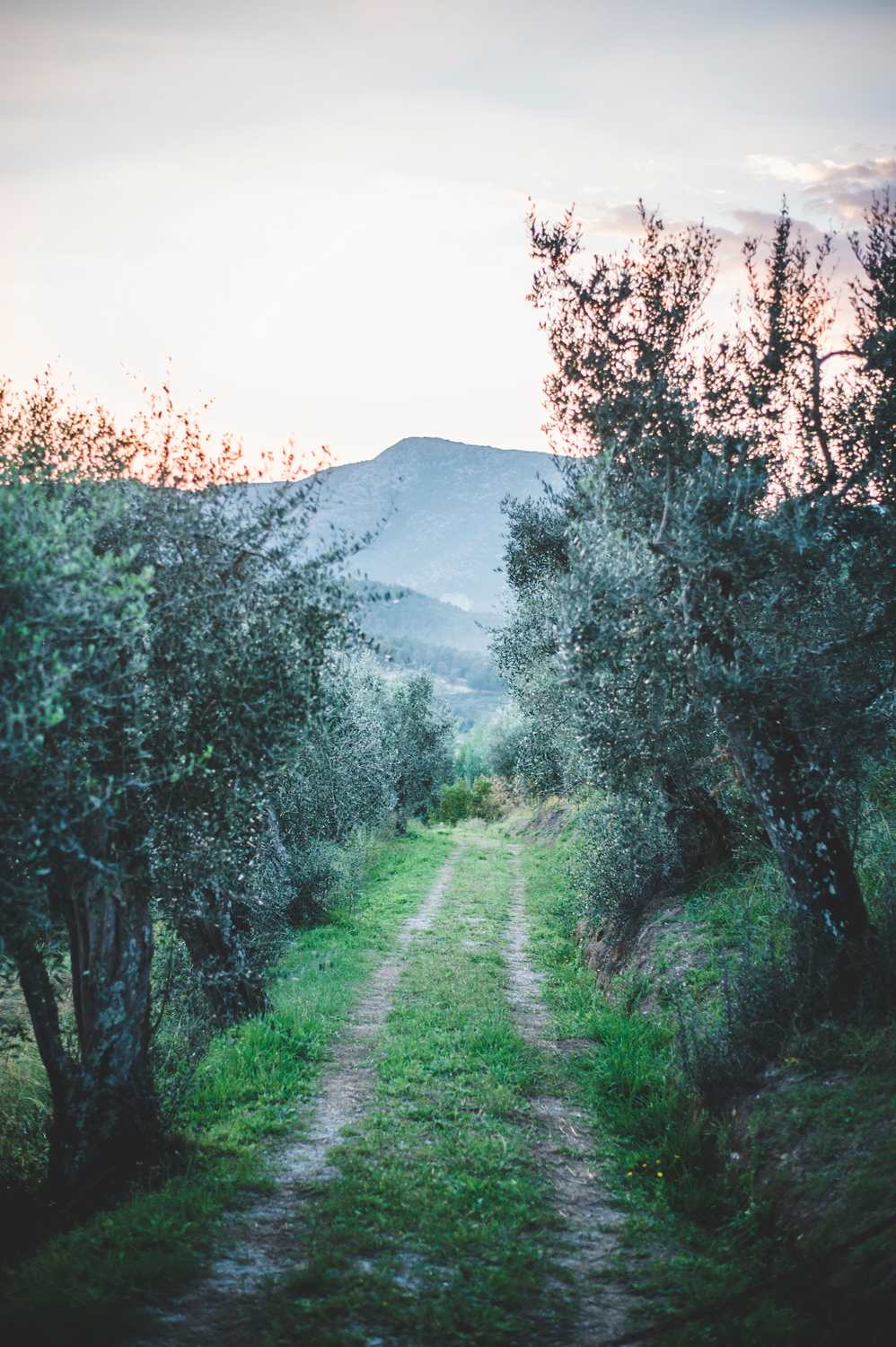 Villa Michaela - Image 102