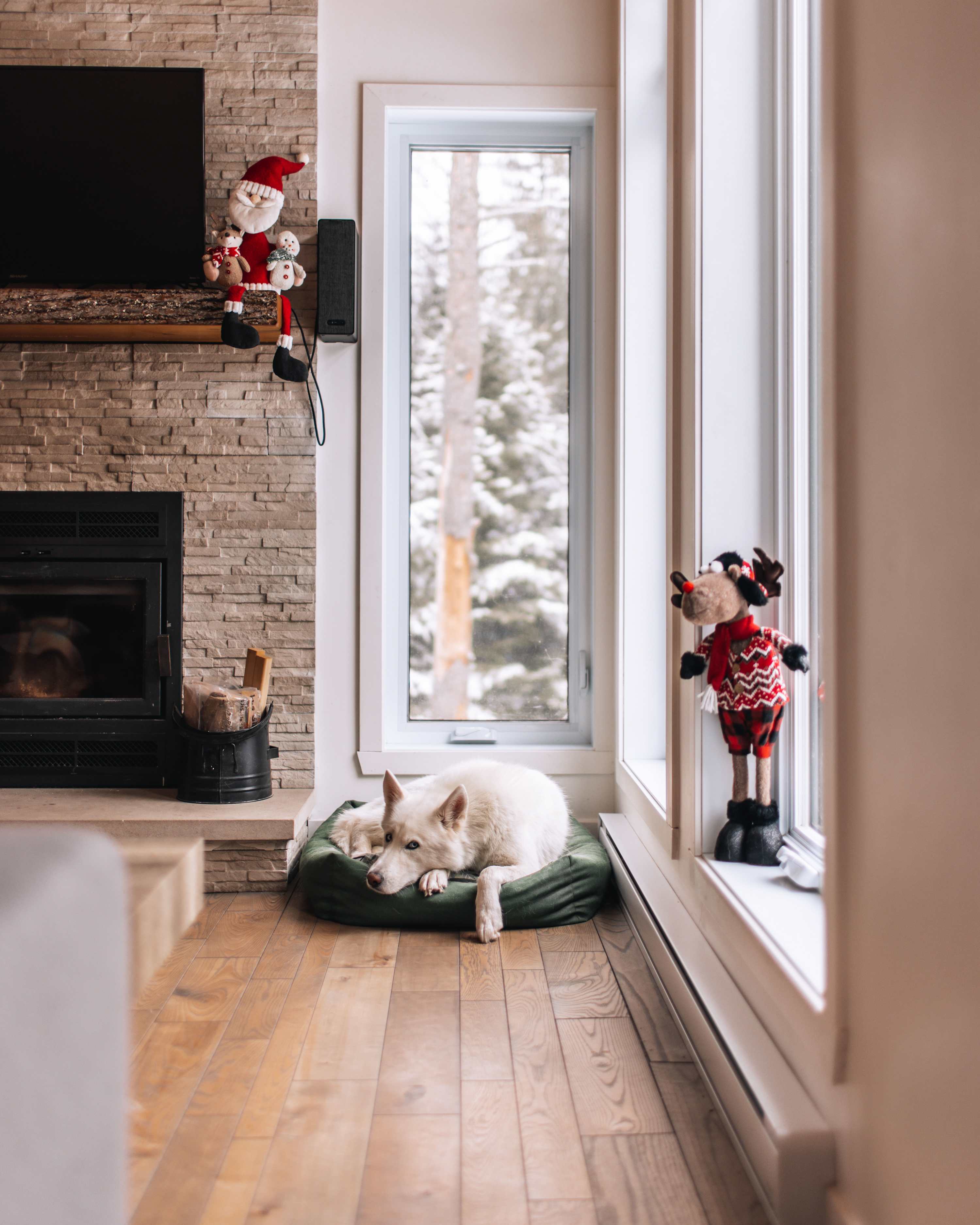 Chalet image 22