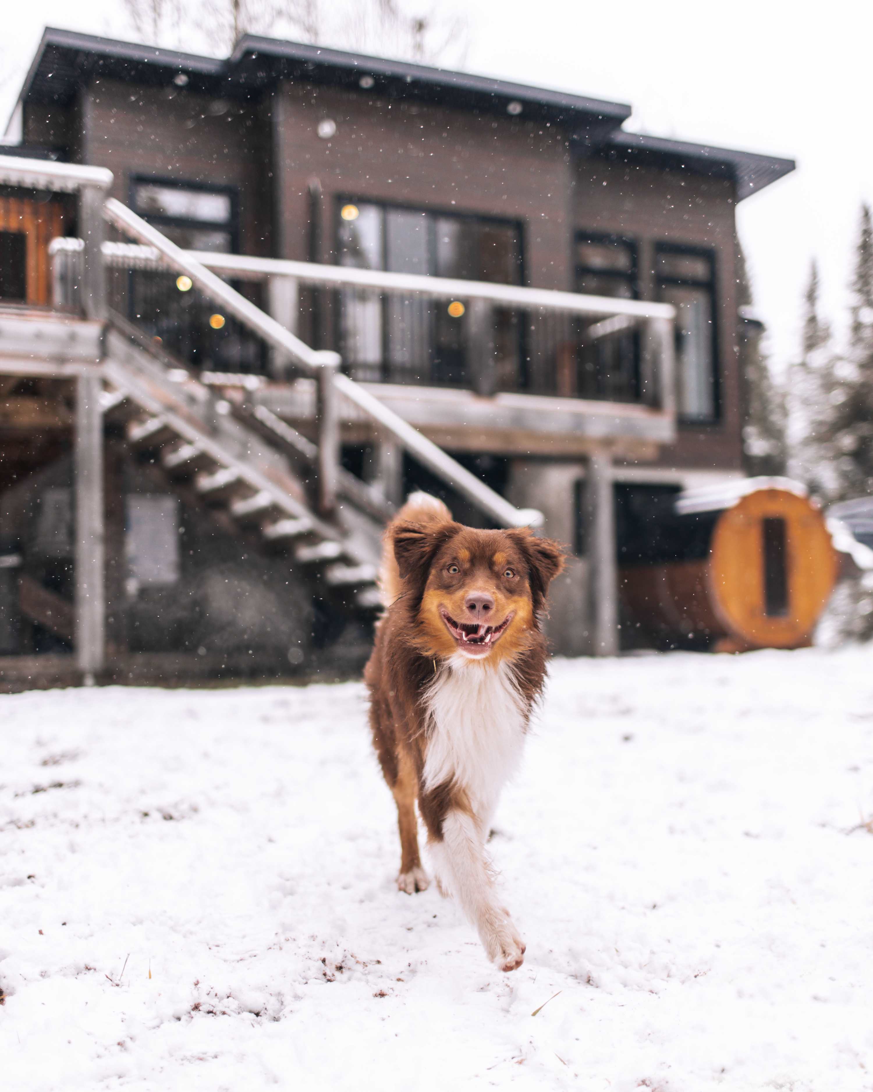 Chalet image 33