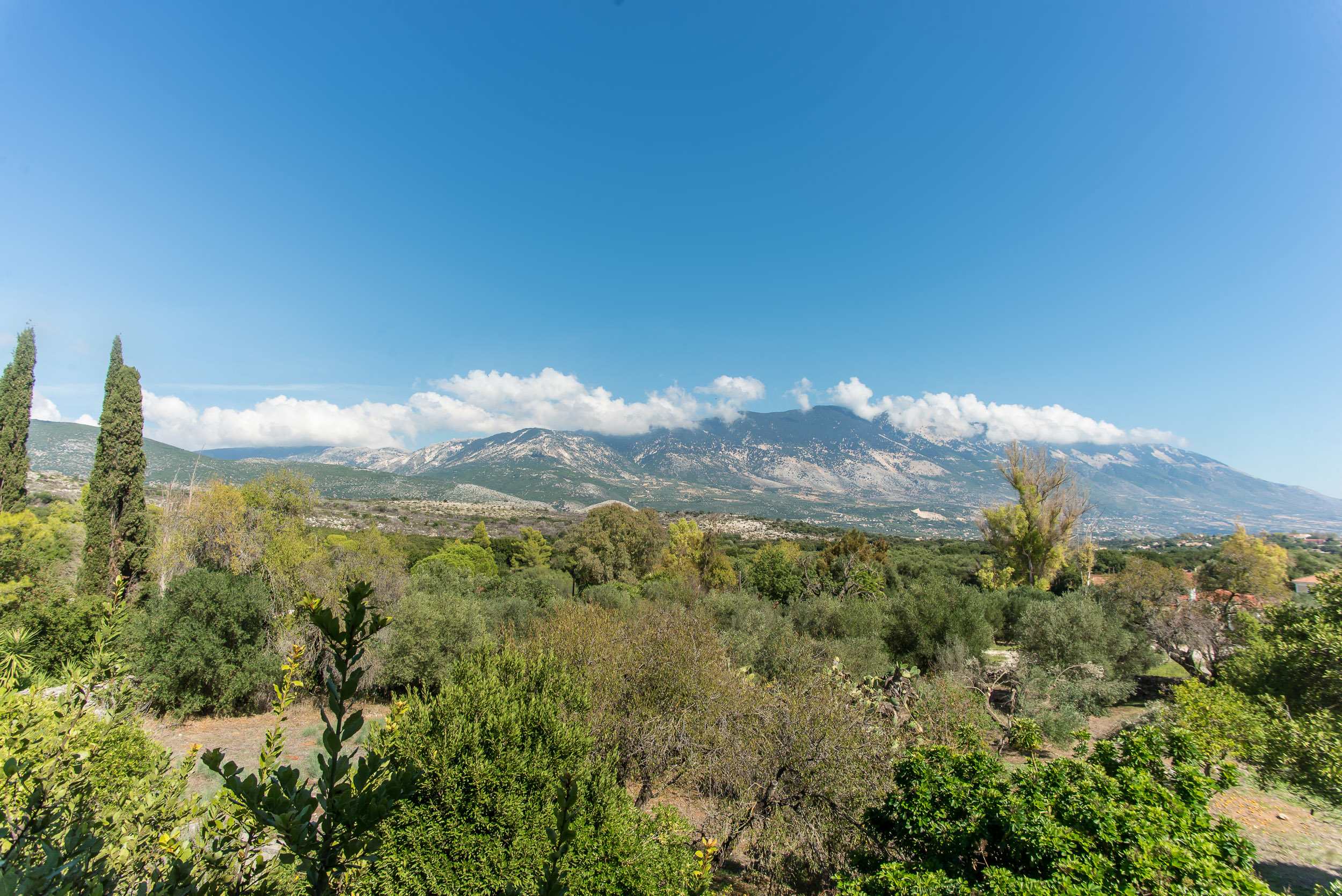 View 5