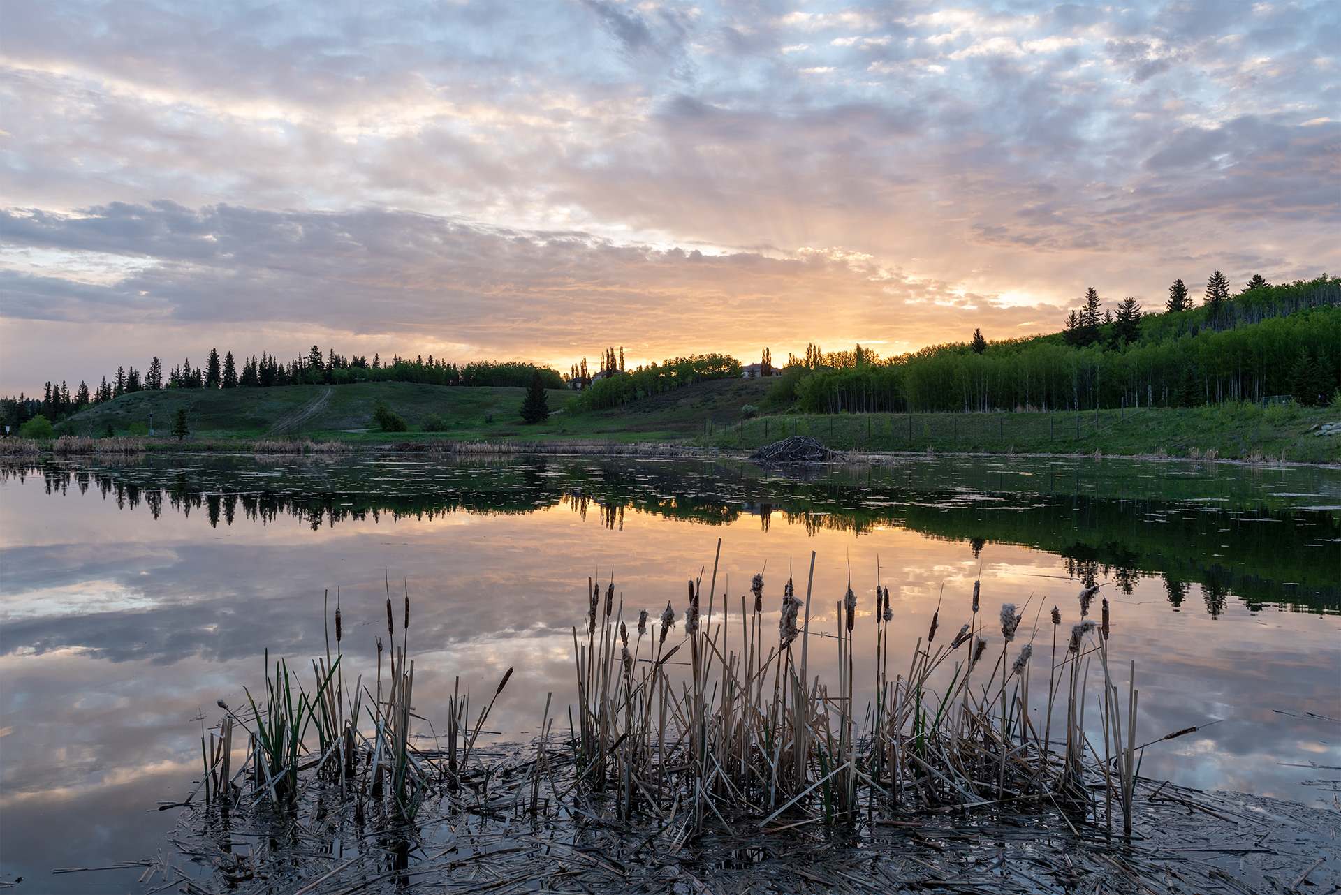 Fish Creek Provincial Park - only a 5 mins drive away!
