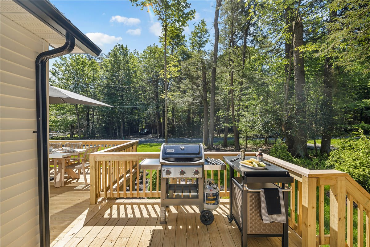 Fire up the gas grill and savor delicious meals al fresco!