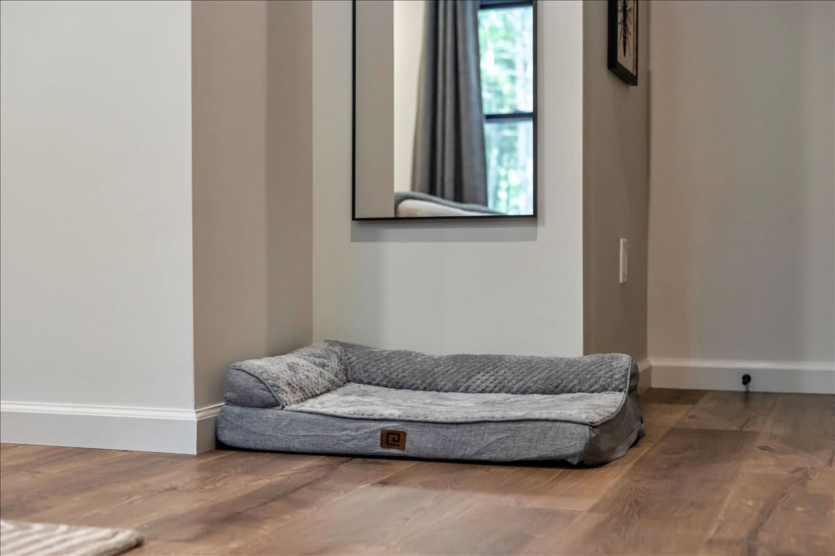 We welcome furry friends! A cozy dog bed is ready for your pup’s comfort.