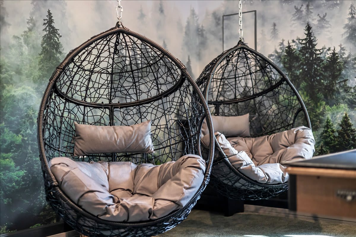 Spectate the fun and don't miss out on a beat! 