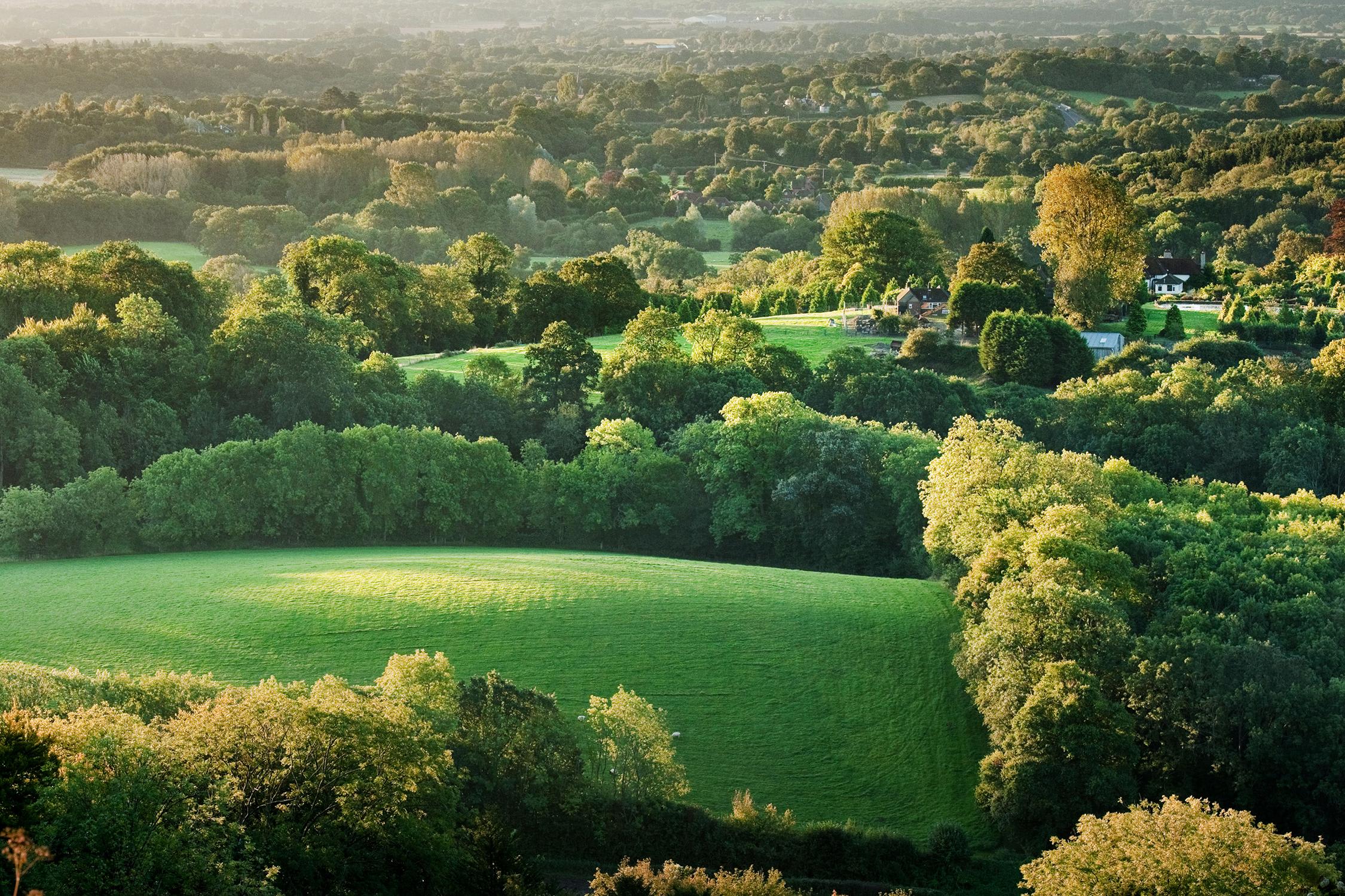 Stunning views from the top of The South Downs!