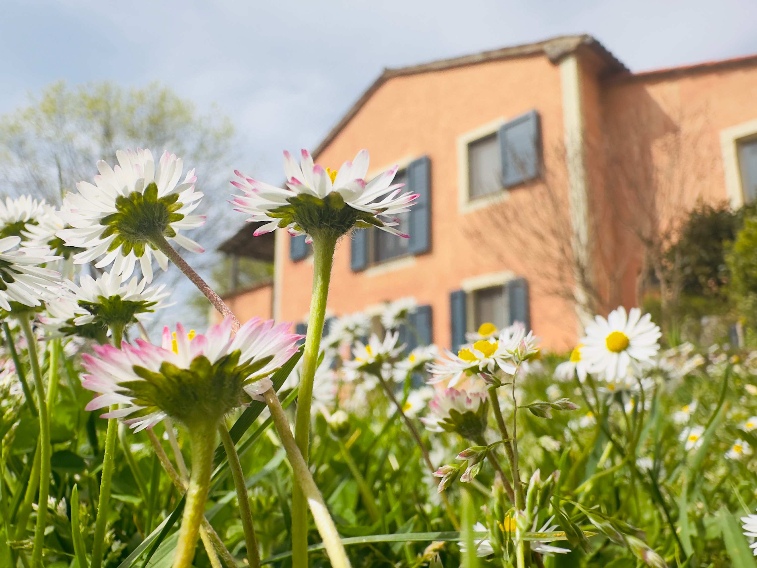 Casale Volare - Image 70
