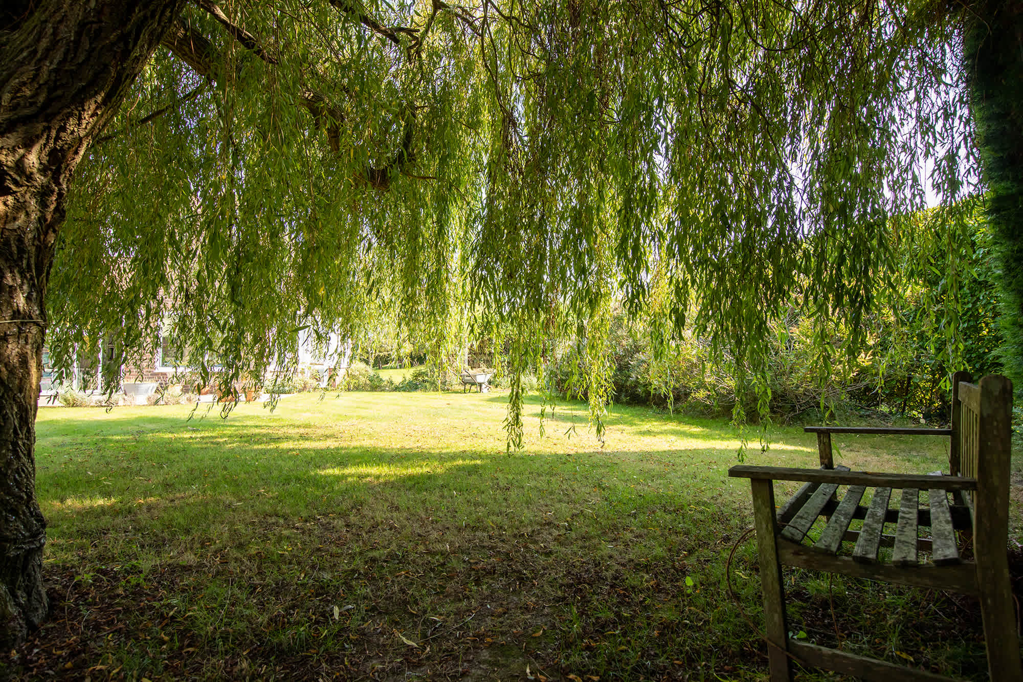 ...or a shady nook under a draping willow.