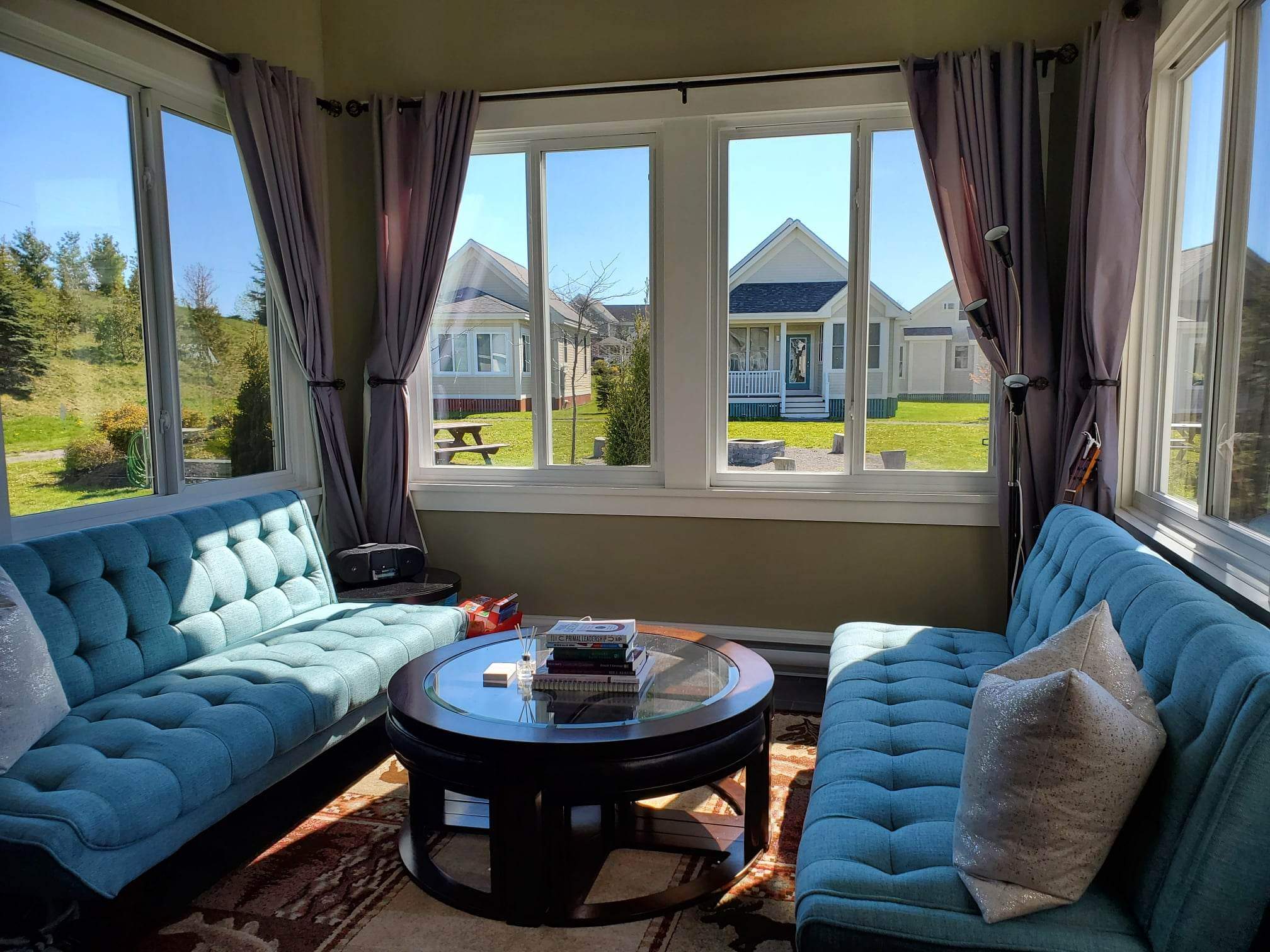 The King Eider - 24 Meadow View