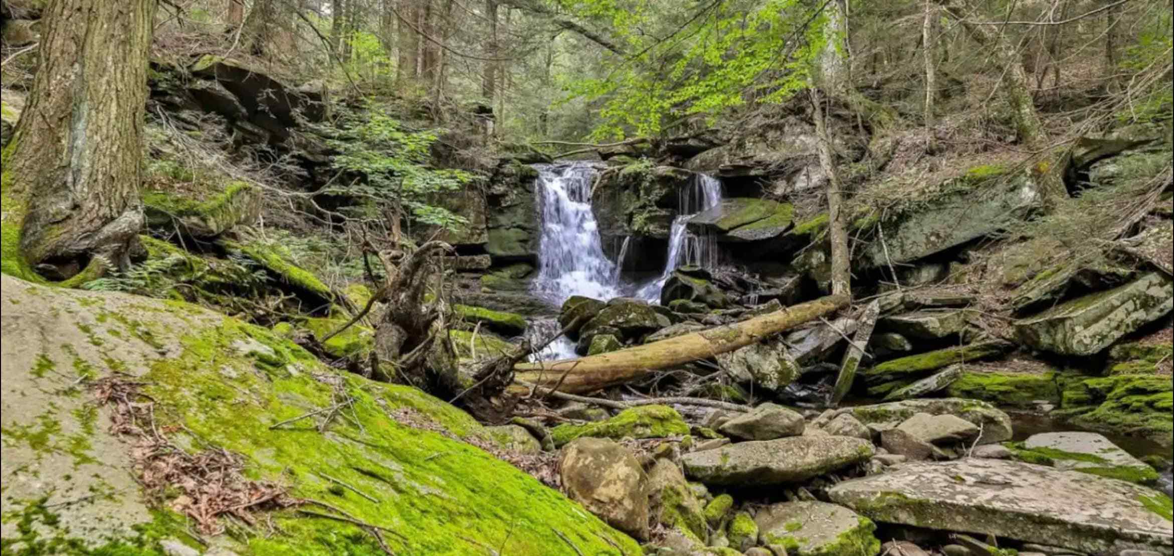 Unique and Private 25ft Waterfall House in Hunter