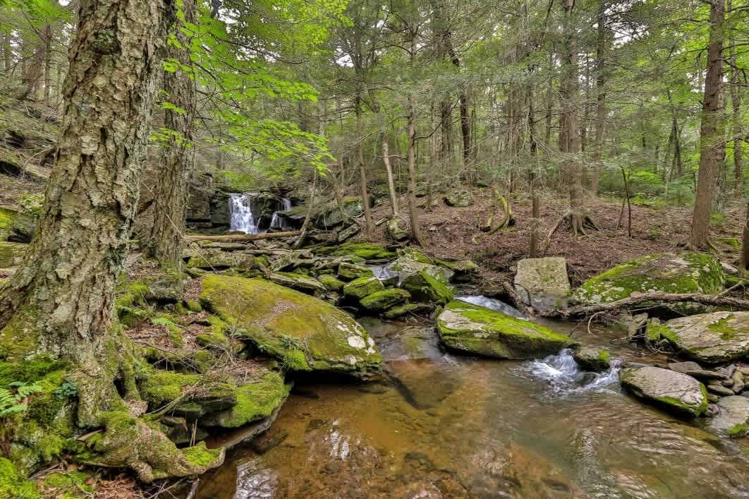 Unique and Private 25ft Waterfall House in Hunter