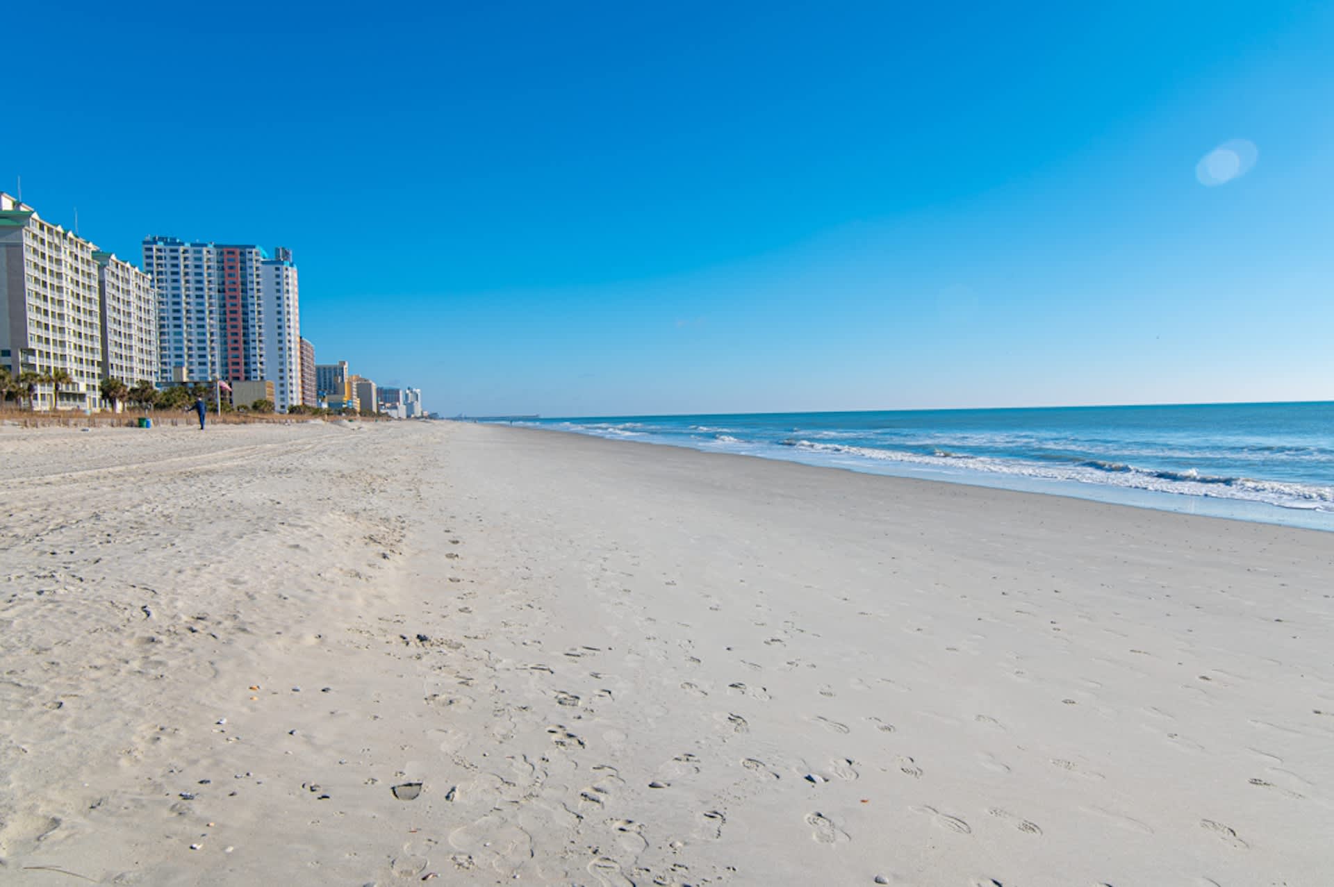 Modern Pet Friendly Oceanfront Condo