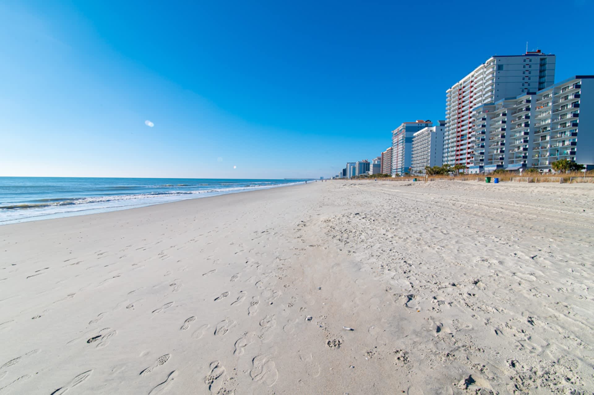 Pet Friendly Modern Oceanfront Suite