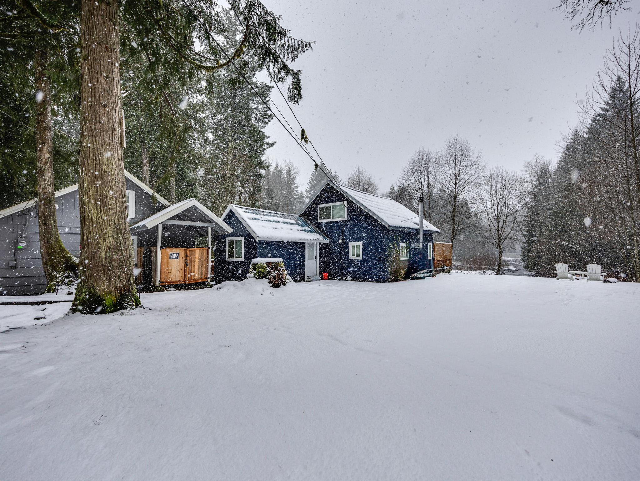 A wide exterior view of a dark blue cabin with a snow-covered roof and ground, surrounded by tall trees and a large open snowy yard during a light snowfall.