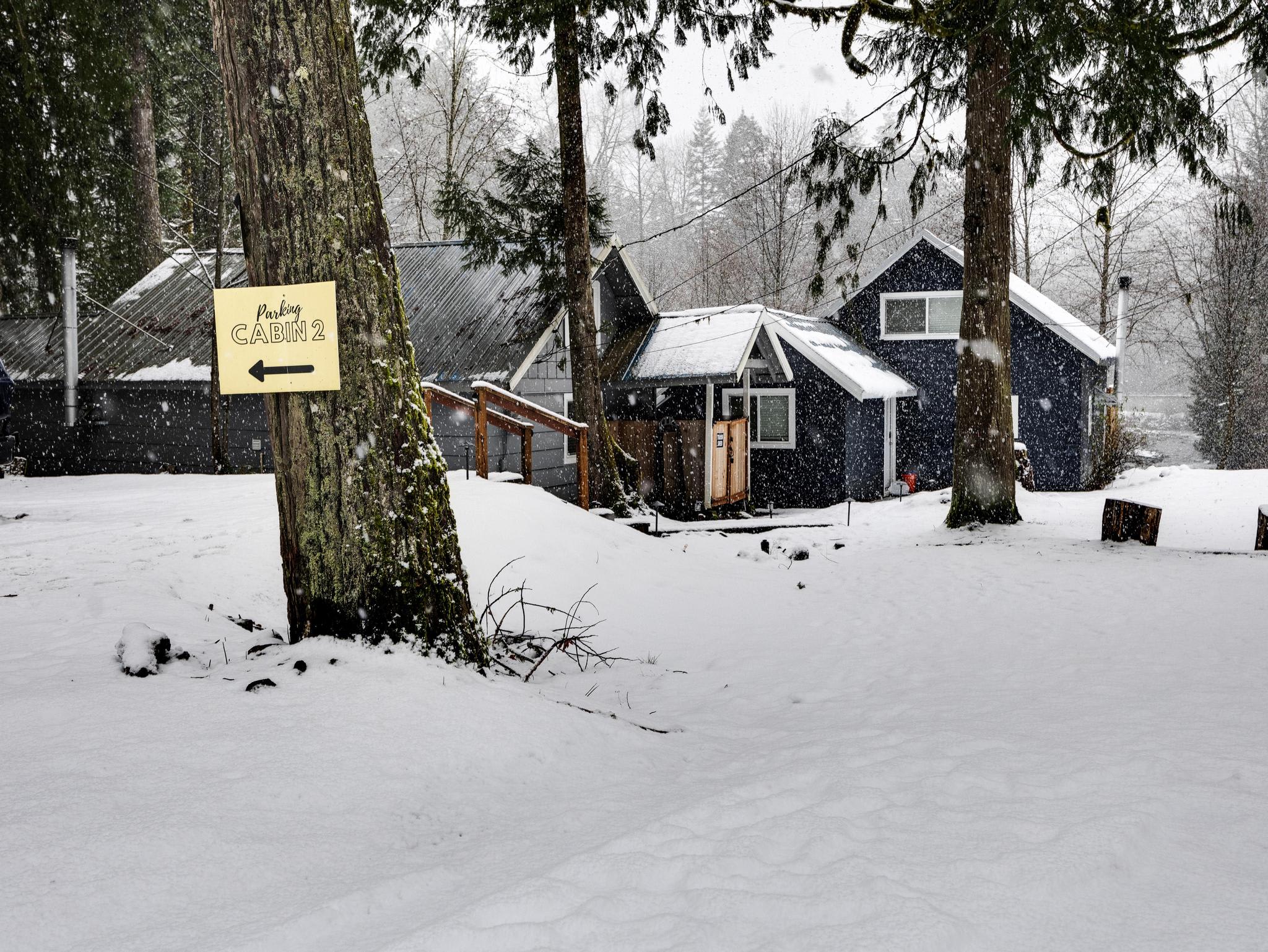 An exterior view of a dark-colored cabin with a snow-covered roof and surrounding ground, featuring a "Parking Cabin 2" sign on a tree and tall evergreen trees in the background during a snowfall.