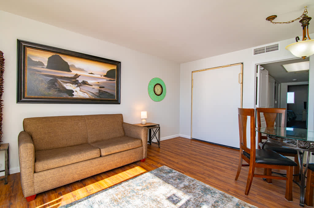 Sleeper Sofa and Pull Down Murphy Bed