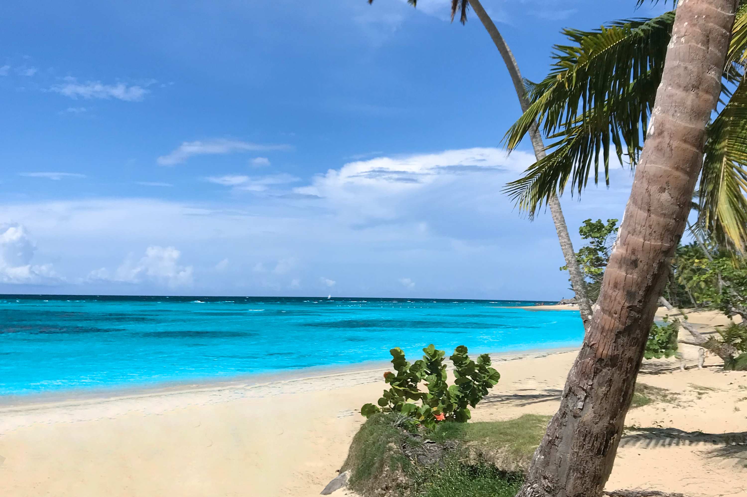 Breathtaking Beachfront Mansion - Your Own Private Resort — El Limón, Samaná — vacation rental