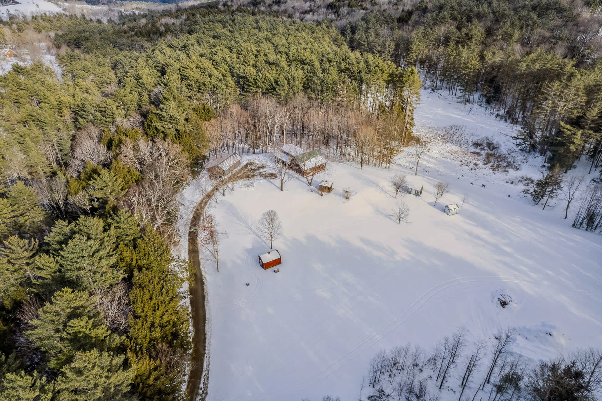 Blue & Sonny Hollow: Modern Cabin Firepit & Trails