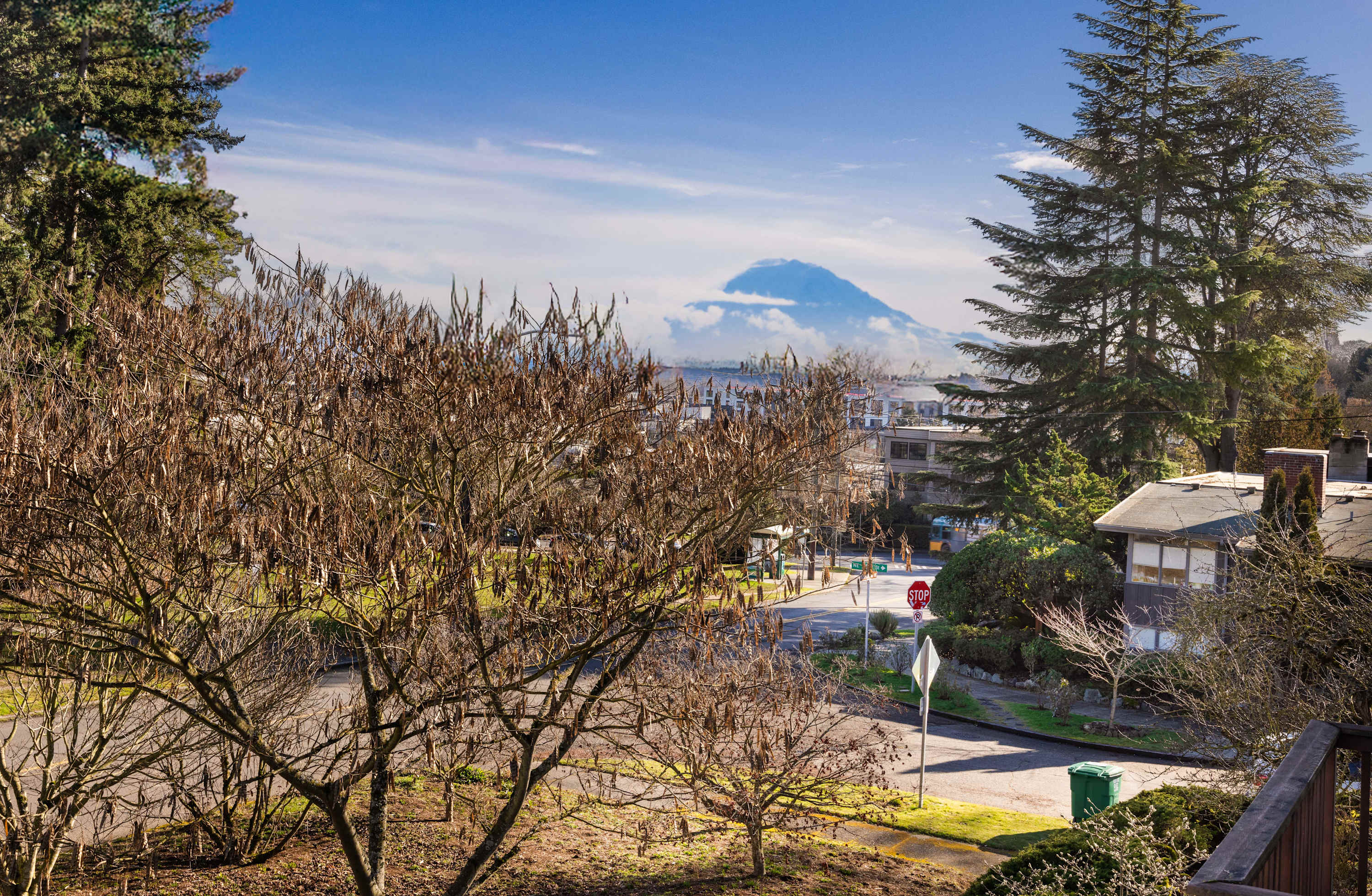 Sunny Seattle Home Mt Rainier, UW Steps Away