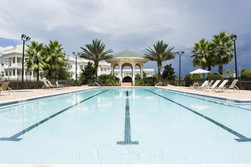 Outdoor pool area with lounge chairs and palm trees creating a relaxing atmosphere.