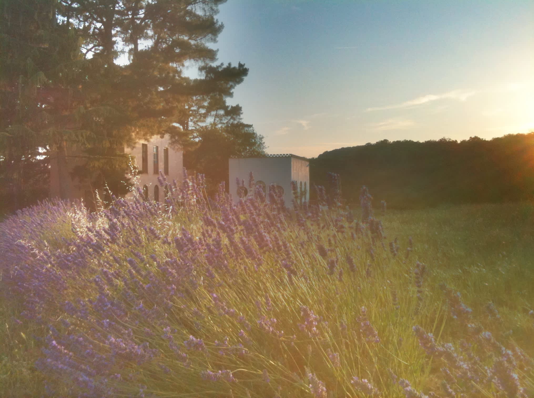 Property thumbnail 53