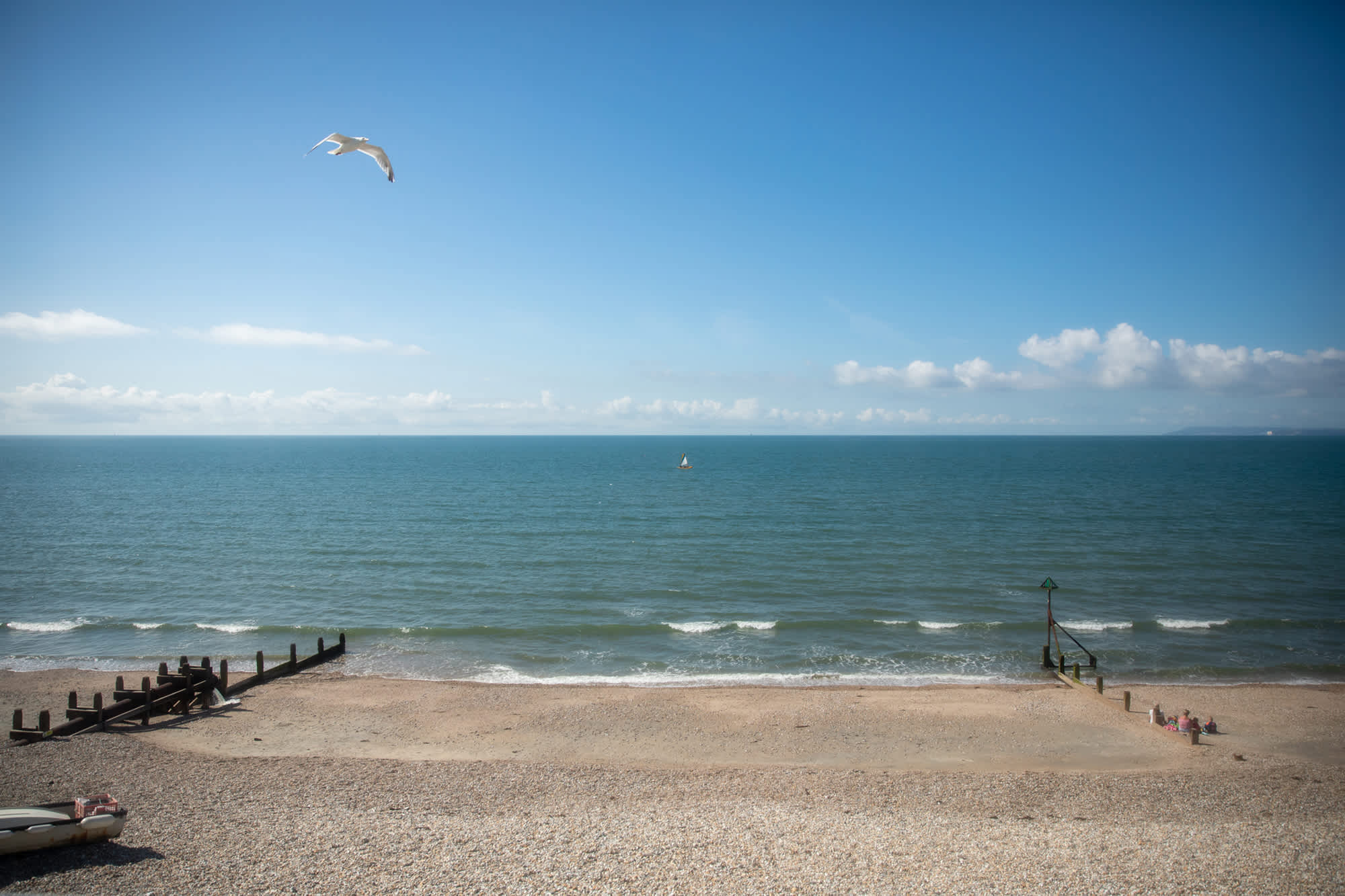 Seagulls are our trusted co-hosts who will greet you each morning