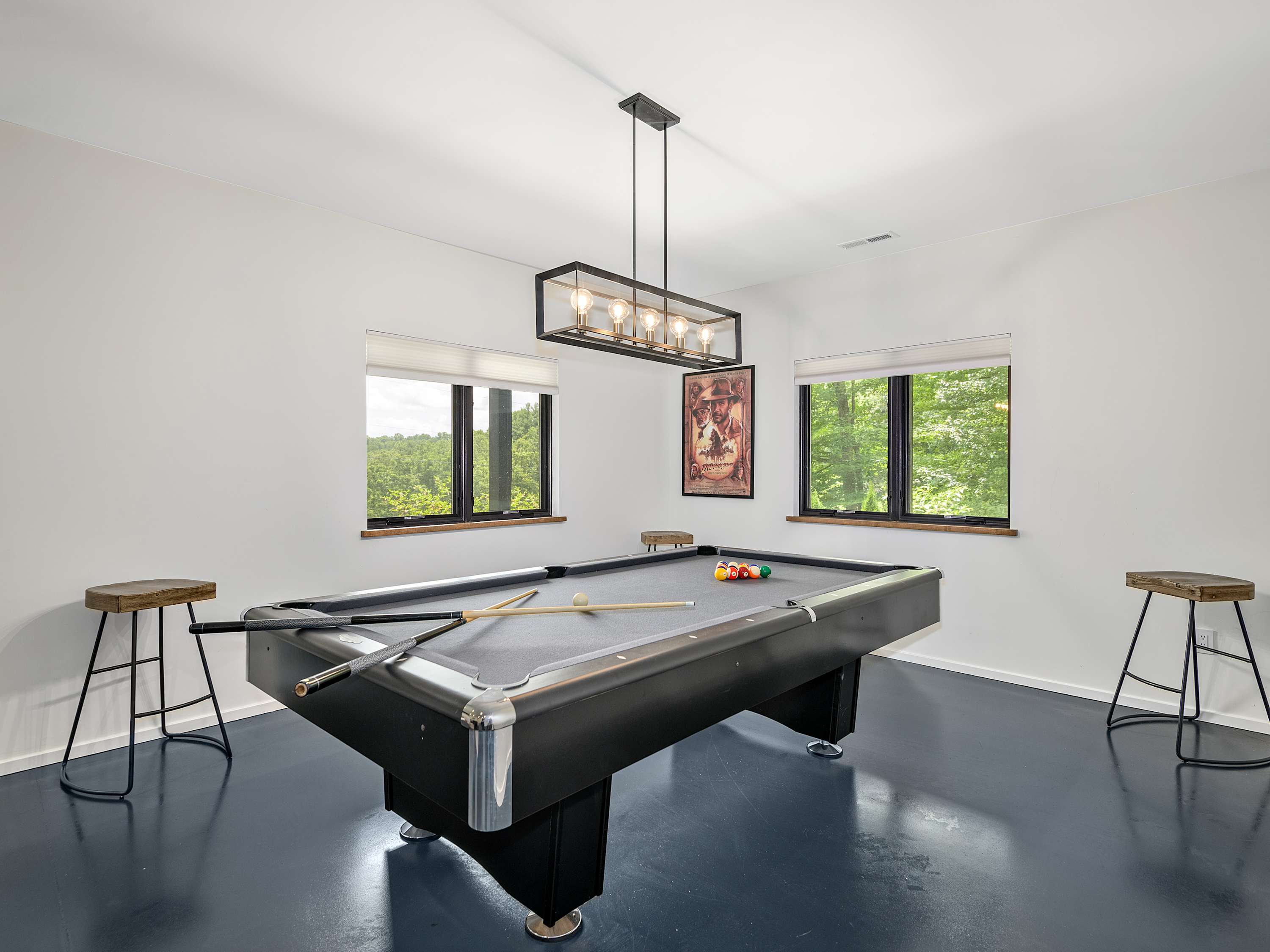 Luxury Asheville House: Theater, Free Tickets, - Foto 6