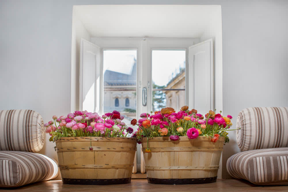 Nido Azzurro  1BR - Image 6