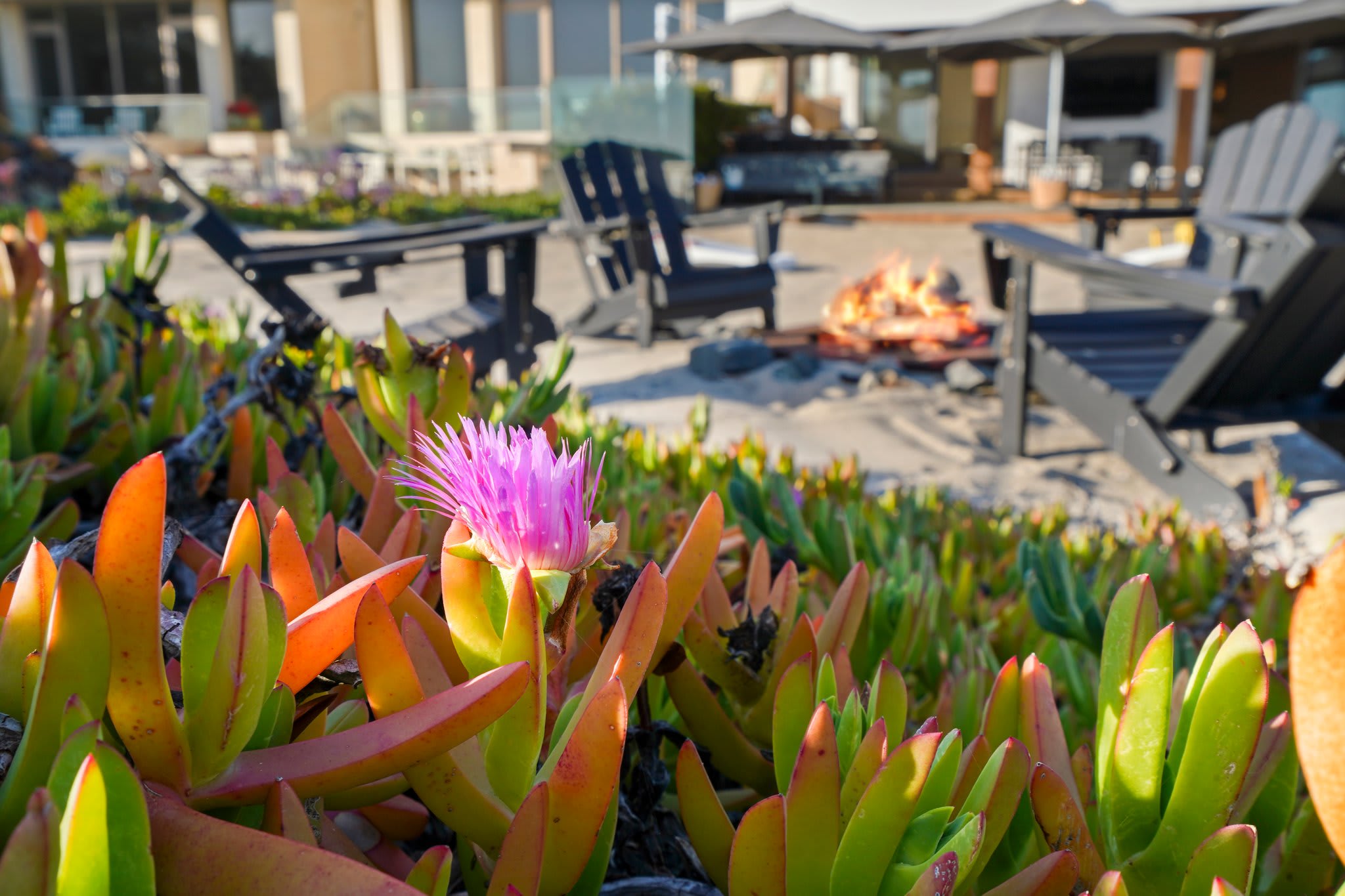 Coastal beauty meets cozy evenings by the fire.
