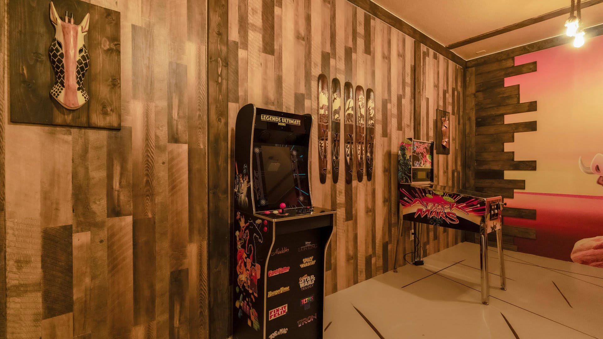 Safari Lion King themed Games room