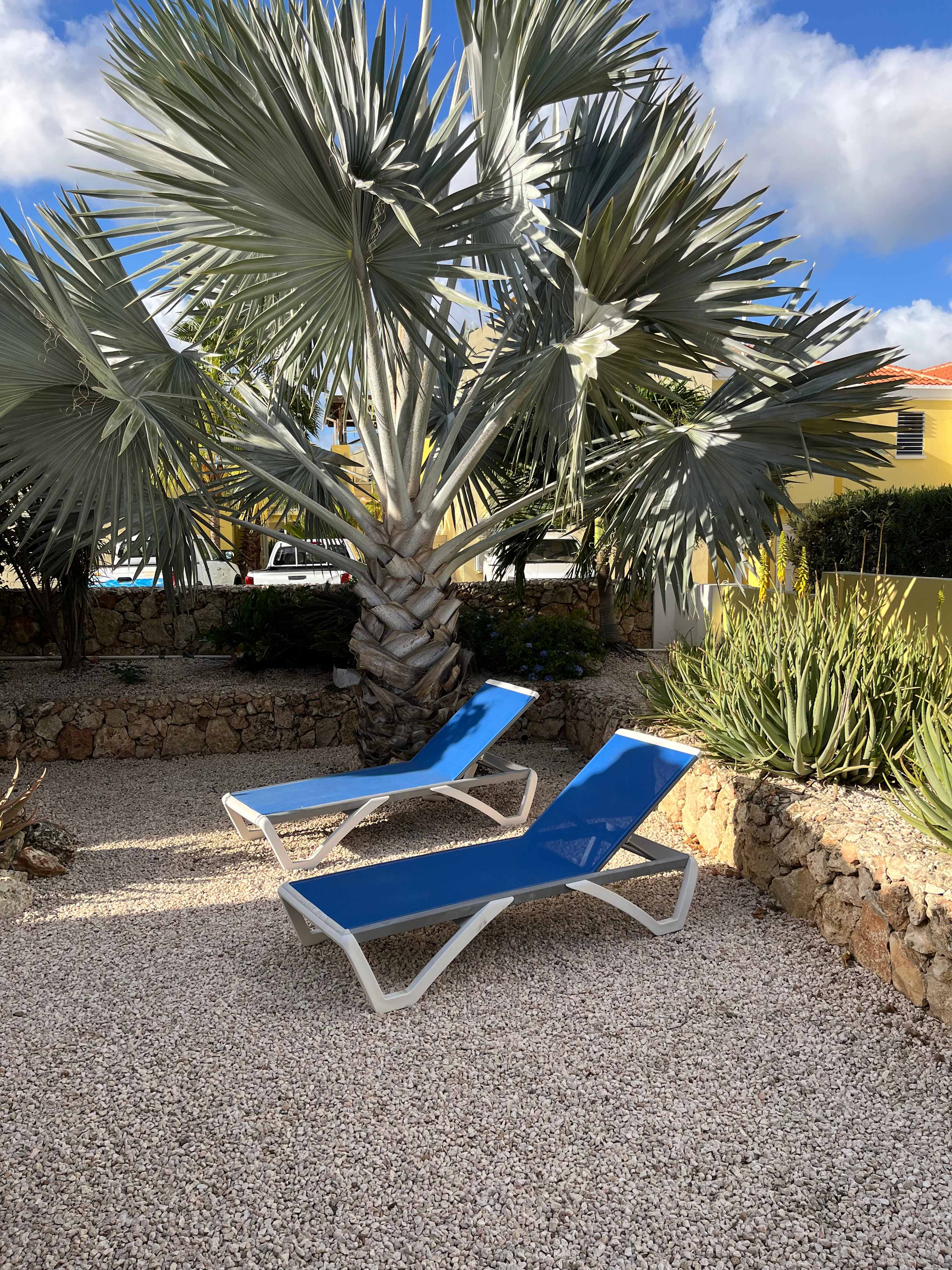 Kaya Sirena 14, 0000BQ Kralendijk, Caribbean Netherlands